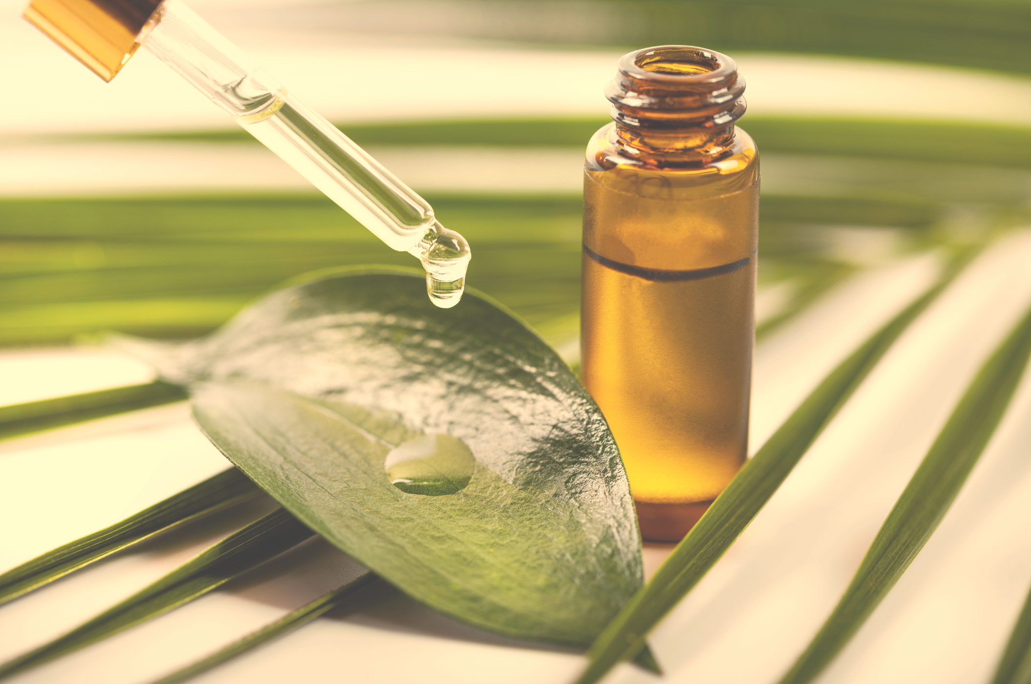 A small amber glass bottle of essential oil with a dropper cap, a green leaf with a drop of oil on it, and green palm leaves in the background, suggesting a natural skincare product.
