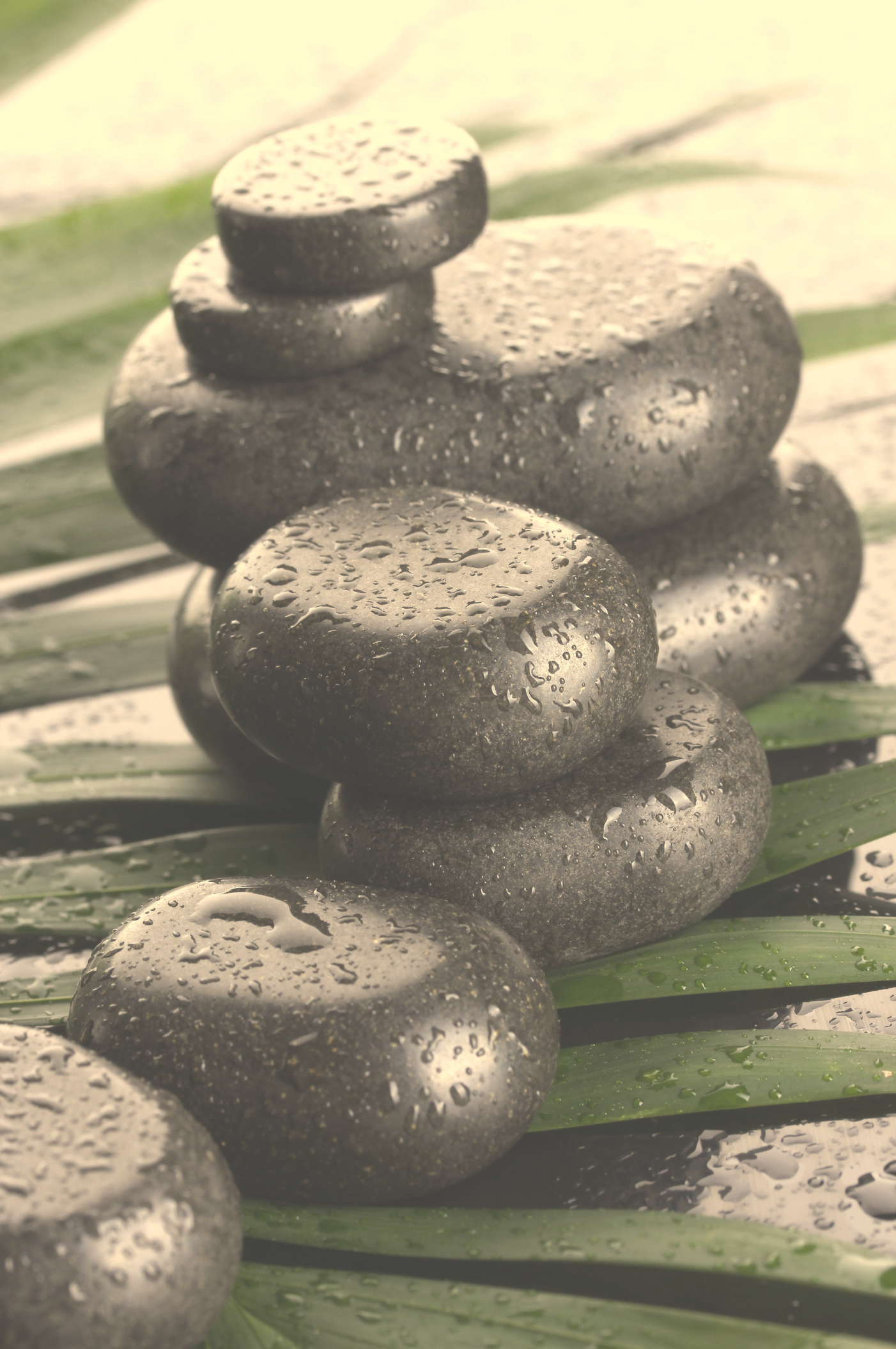 Stacked smooth black basalt stones with water droplets on a green leaf in the background.
