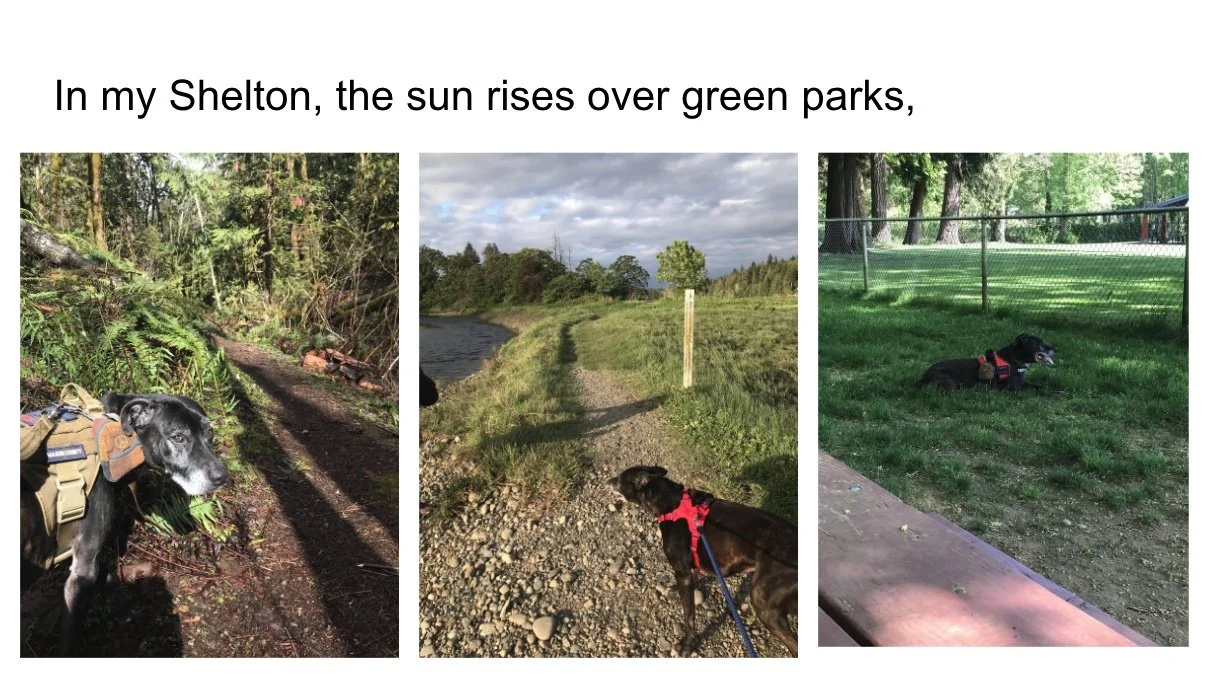 Image 9-5-25 at 3.19 PM.jpeg