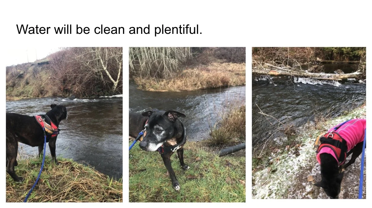 Image 9-5-25 at 3.38 PM.jpeg