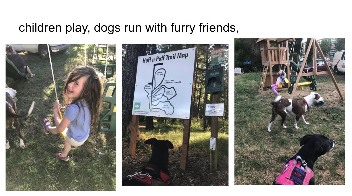 Image 9-5-25 at 3.21 PM.jpeg