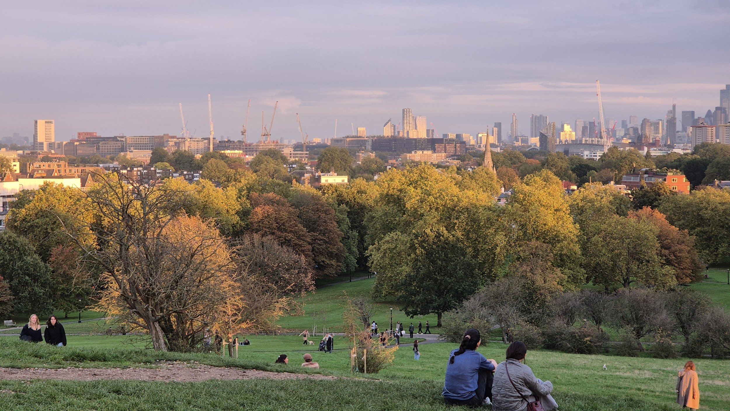 View of a city skyline with tall buildings and construction cranes in the distance, visible above tree-lined park with people sitting and walking on the grass and pathways.