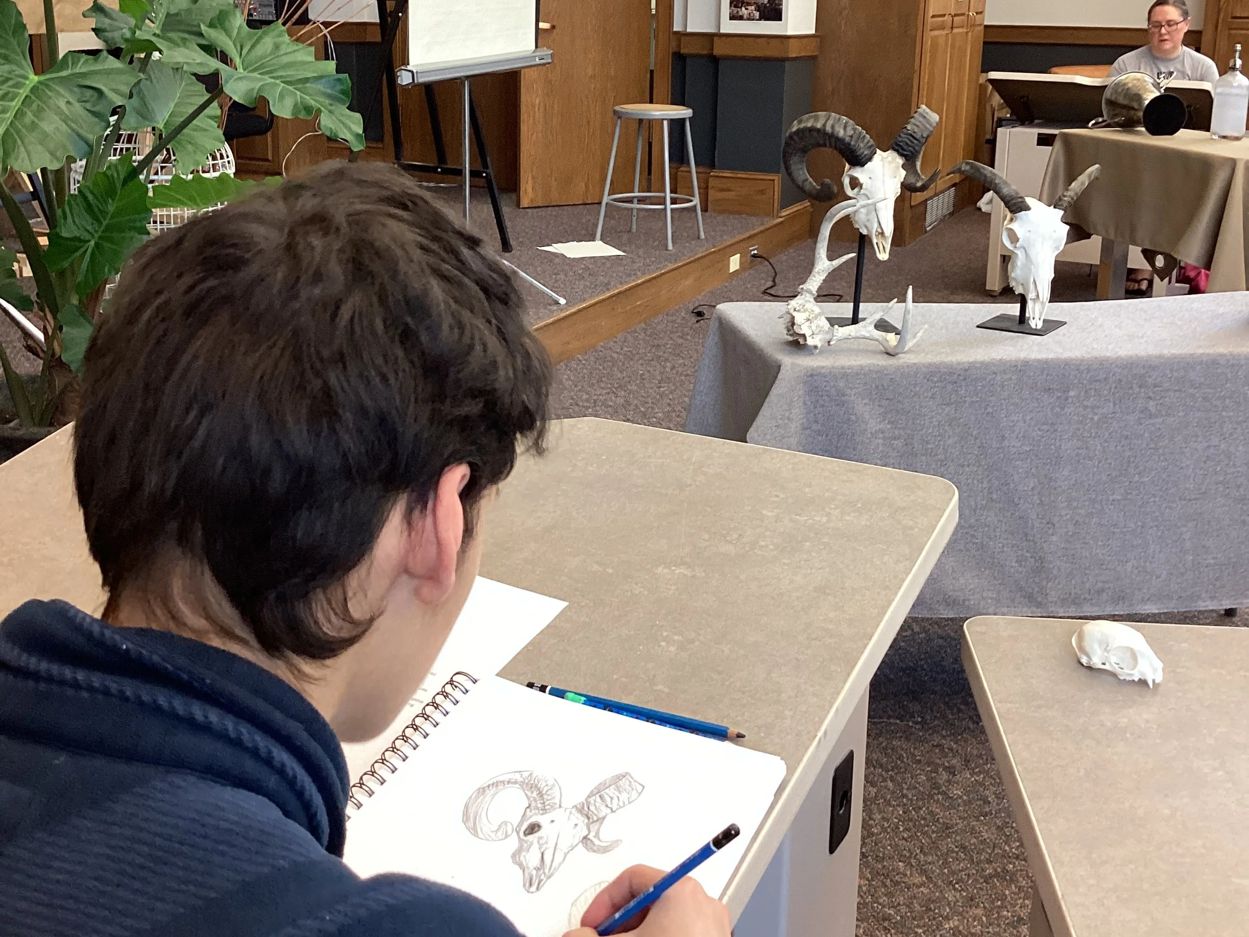 Drawing for Beginners (6 Saturdays)