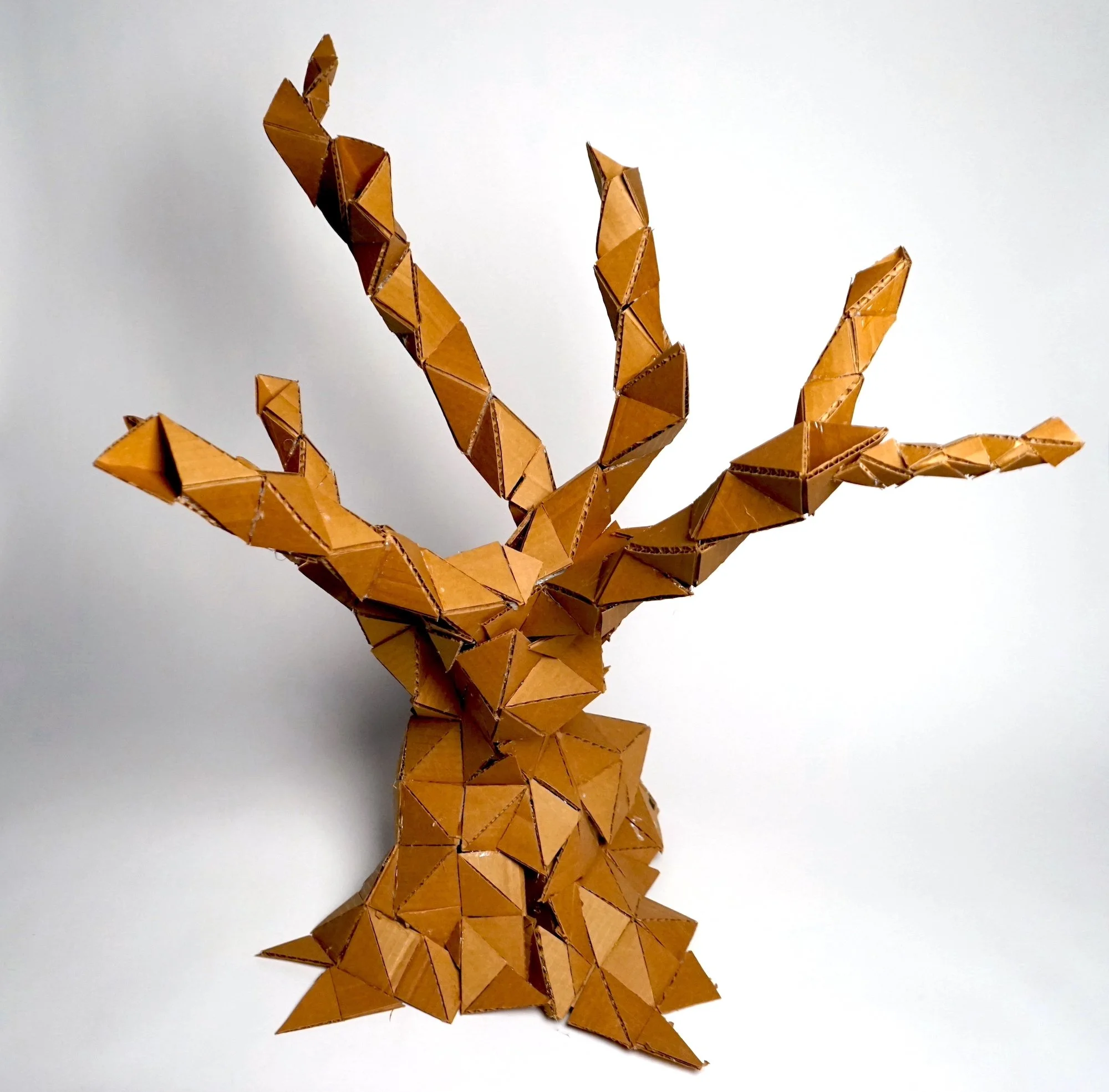 THe Shape of Memory: Cardboard Sculpture