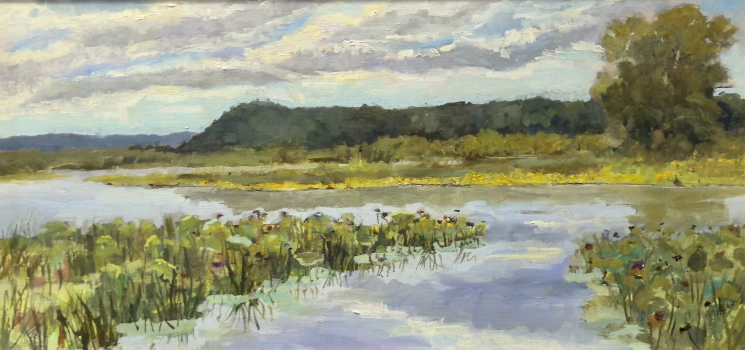 Main Event - Honorable Mention | Carolyn Larkin, Half Lotus