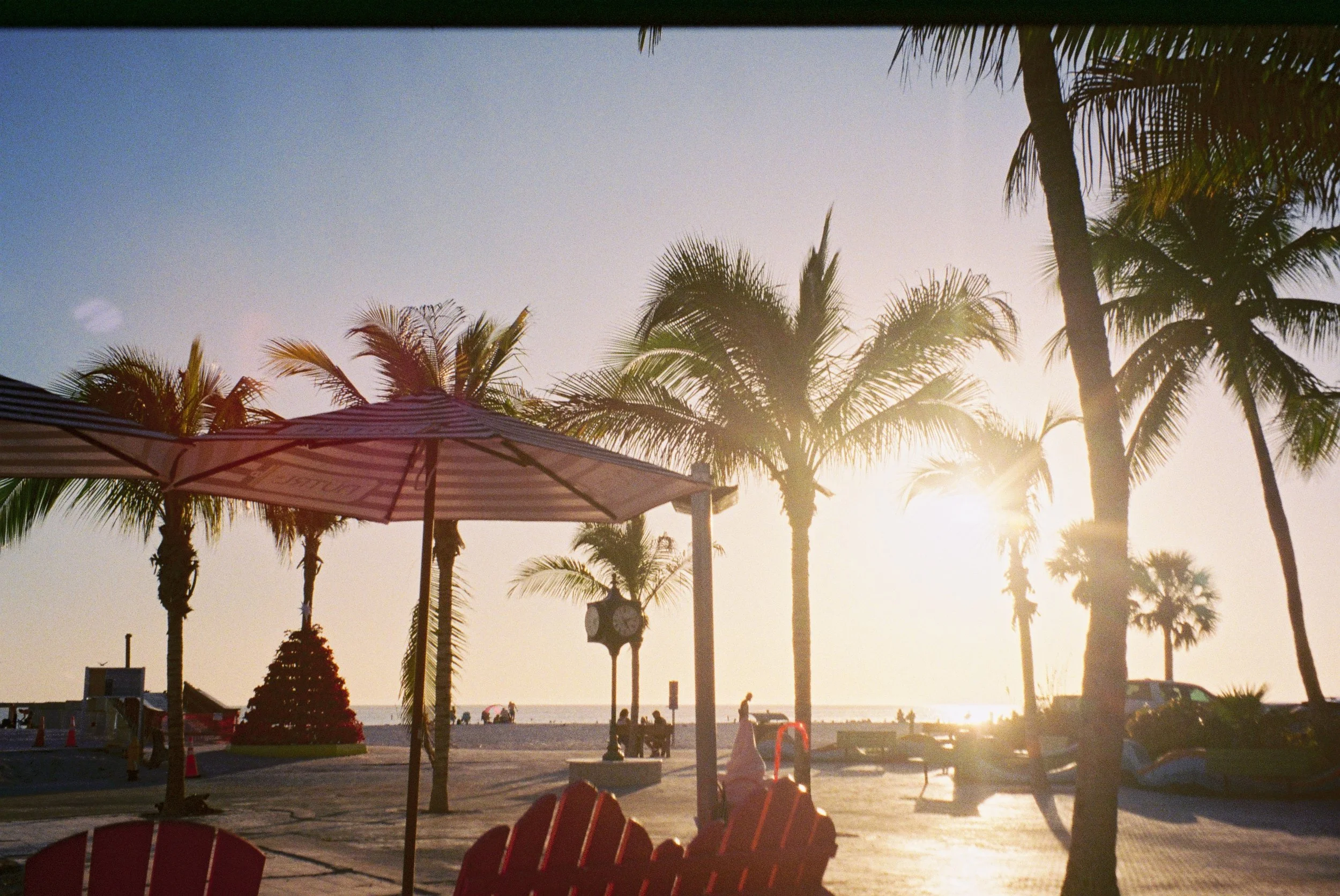 Lee3376983605-R1-17-20 2.JPG