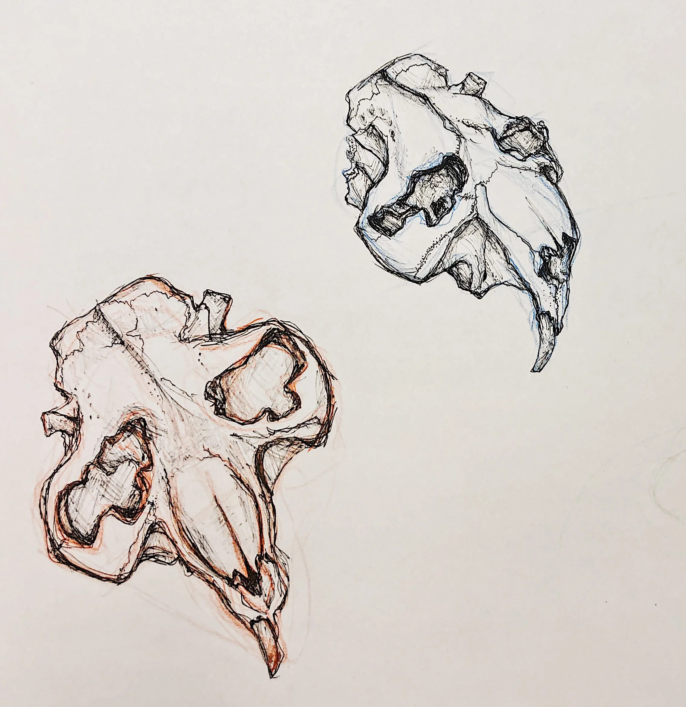 9544361F-7DC0-439E-99A4-7F7808E76D1A 2.JPG