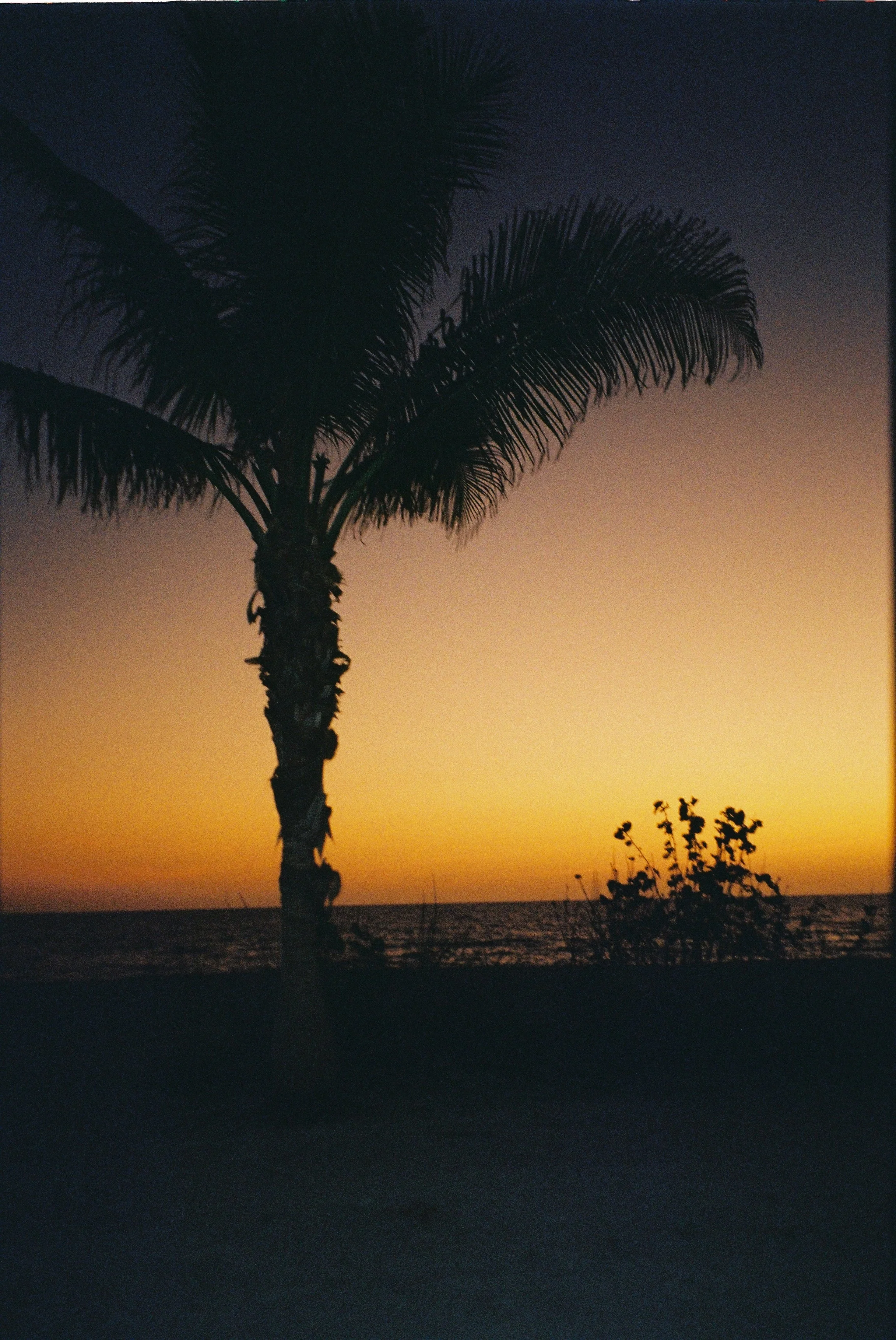 Lee2310187524-R1-36-1 2.JPG