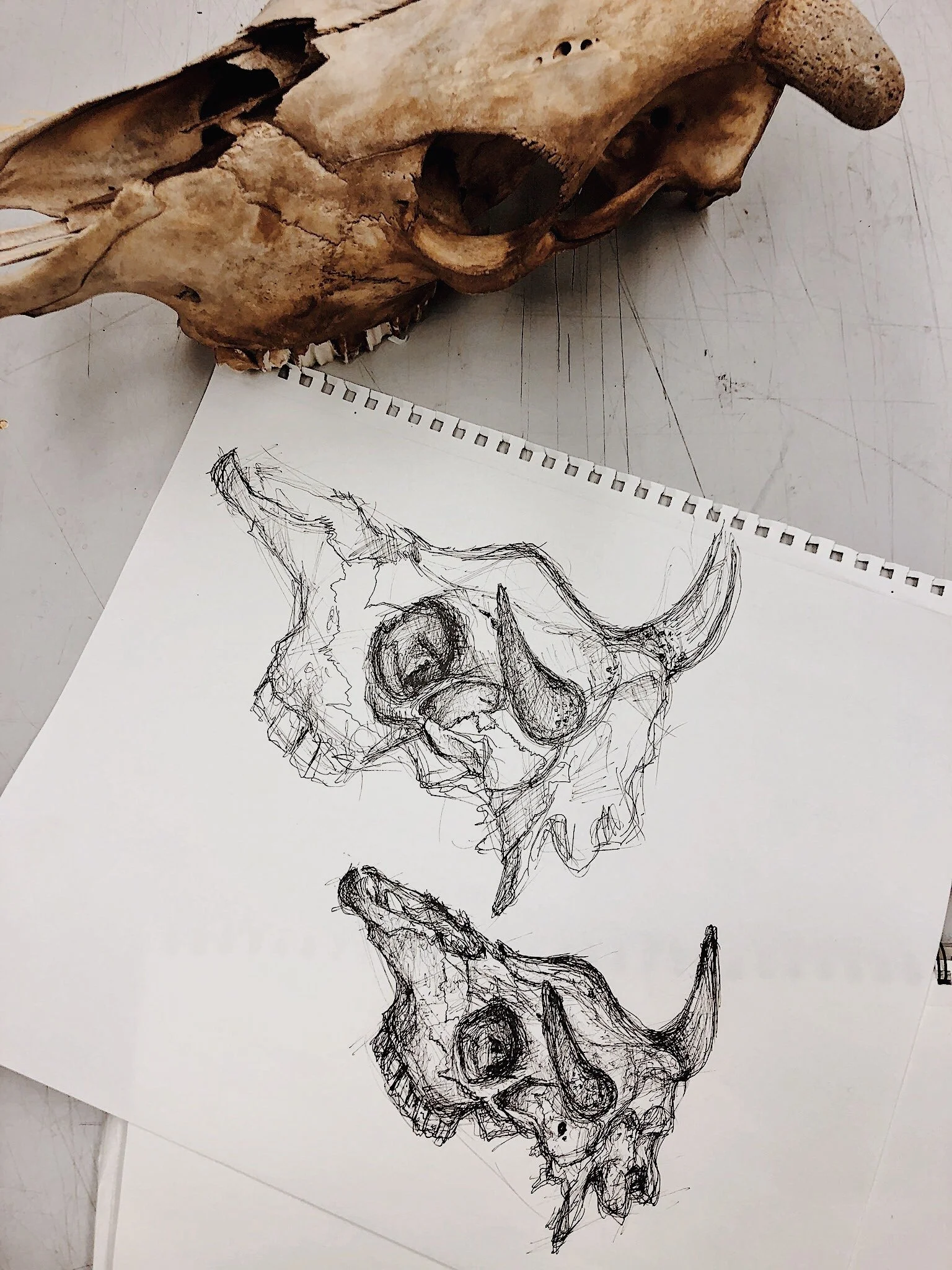 E5BE1465-C9F3-42FC-AA5B-5D9CC1A22D3D 2.JPG