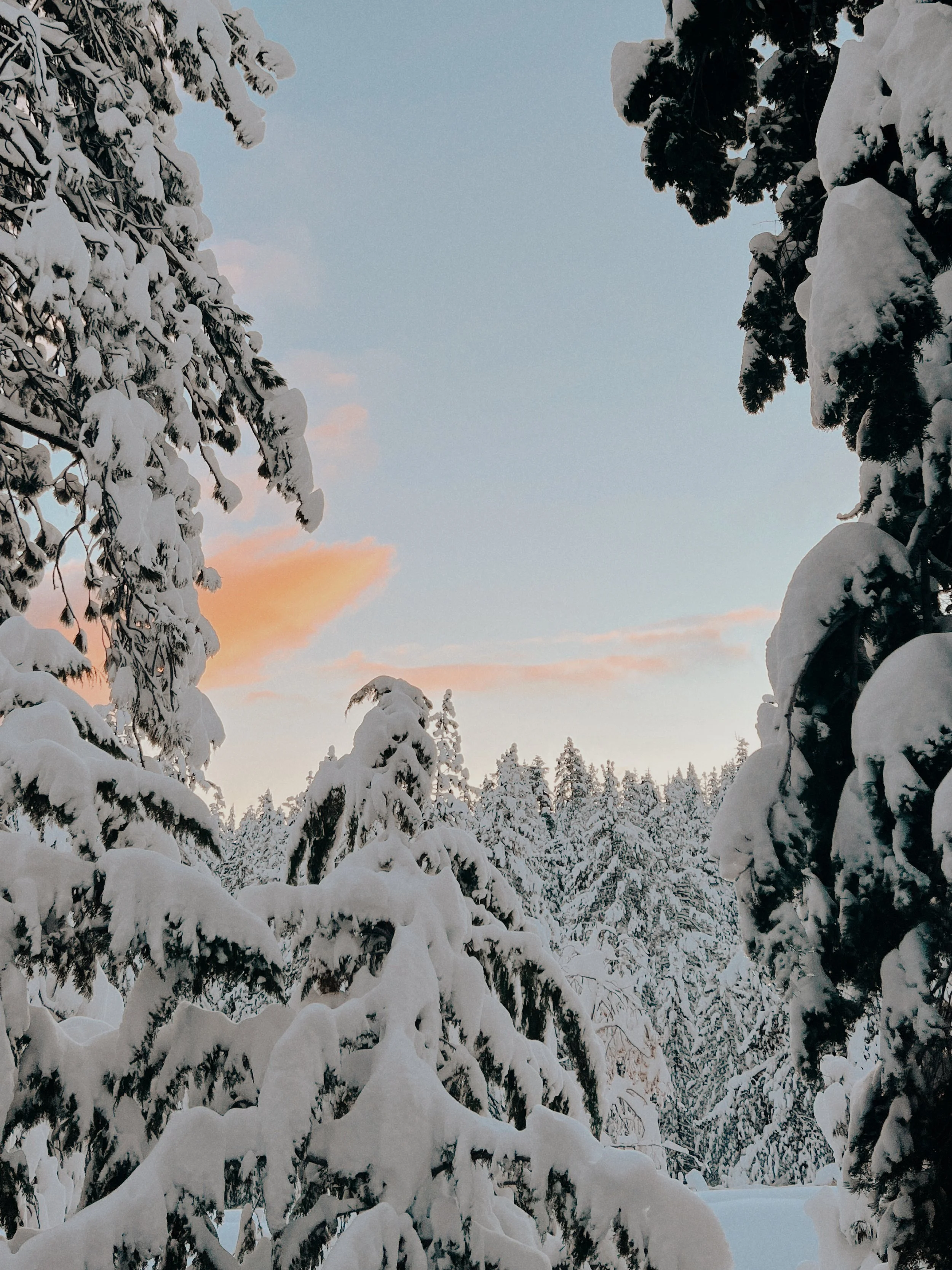 Create Your Own Light This Winter