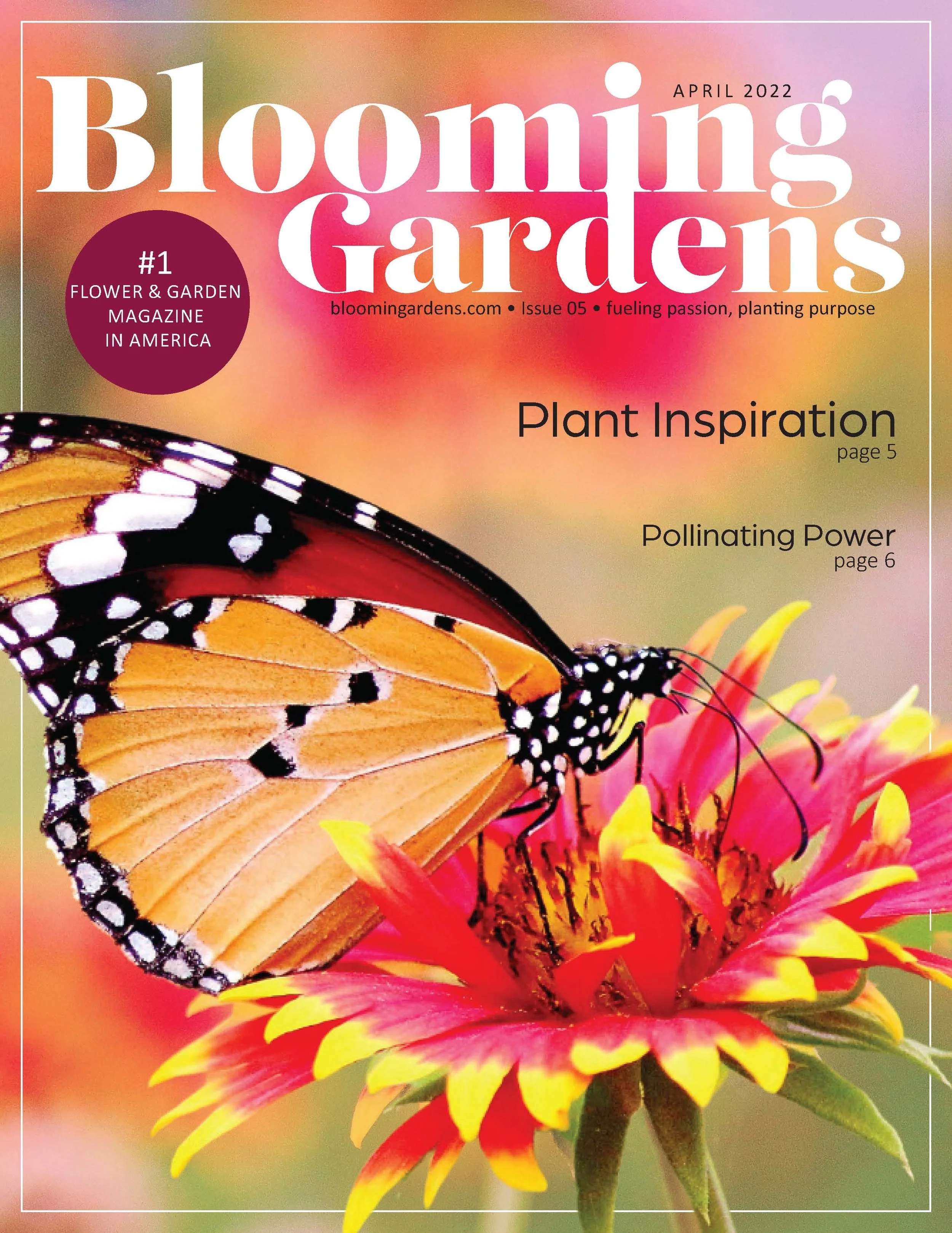 magazine layout_Page_1.jpg