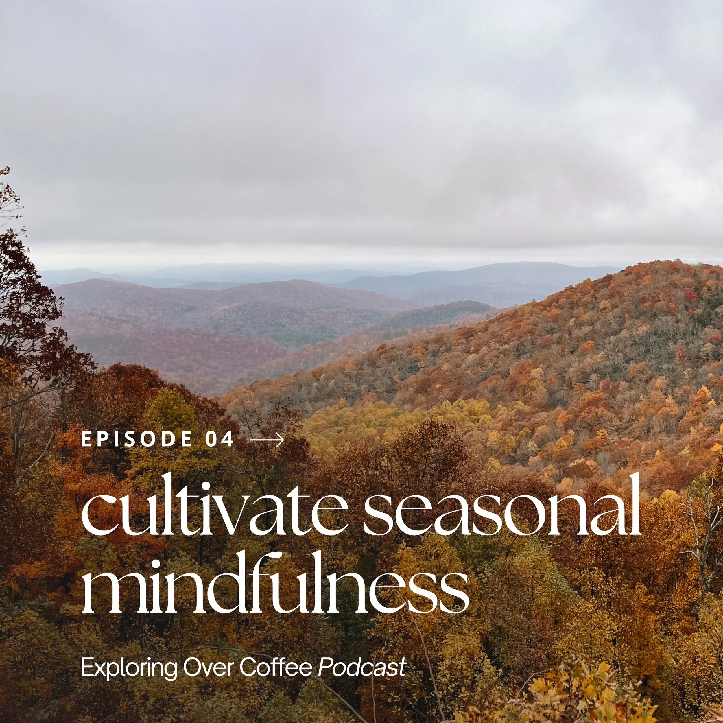 Sprawling hills of fall foliage