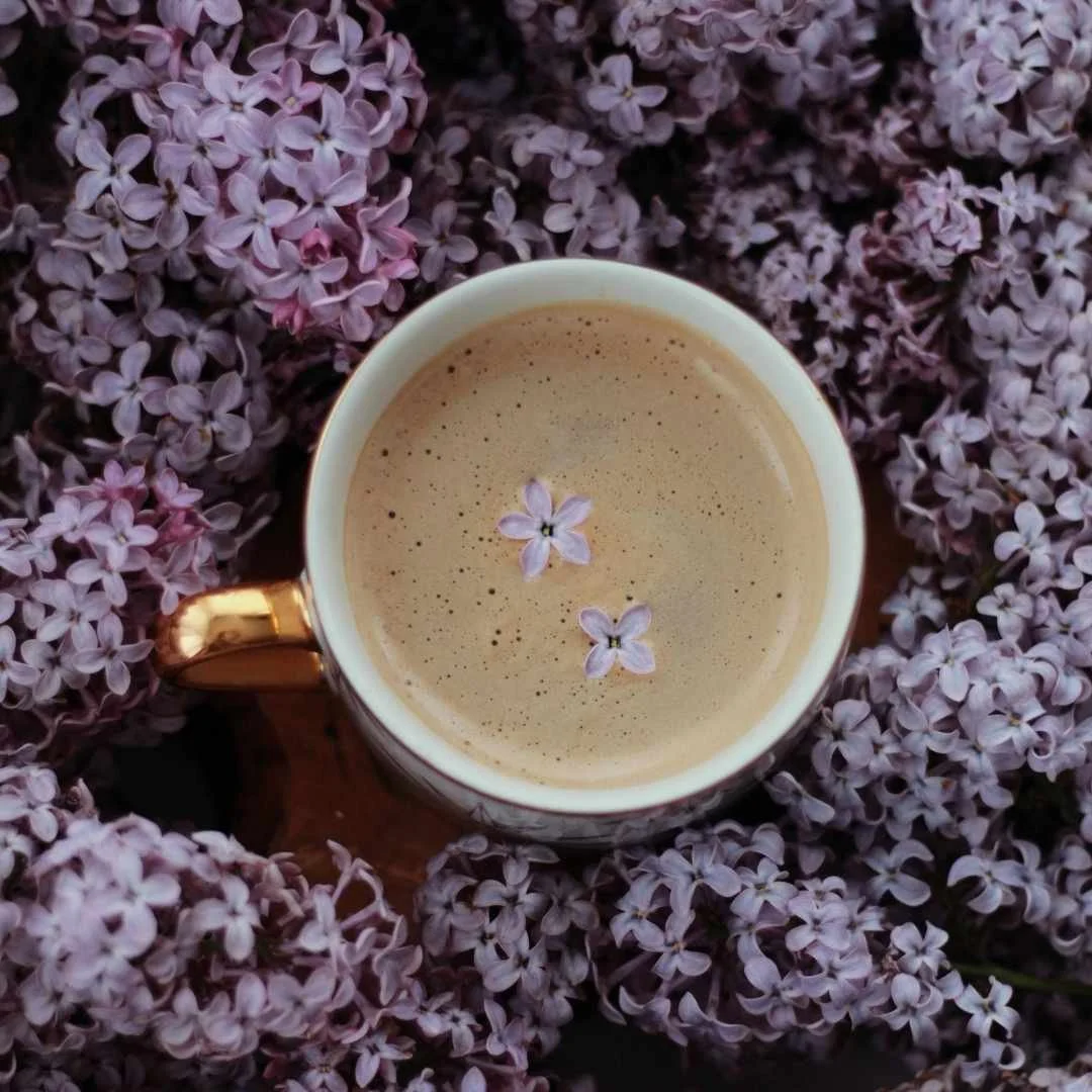 coffee and lavender