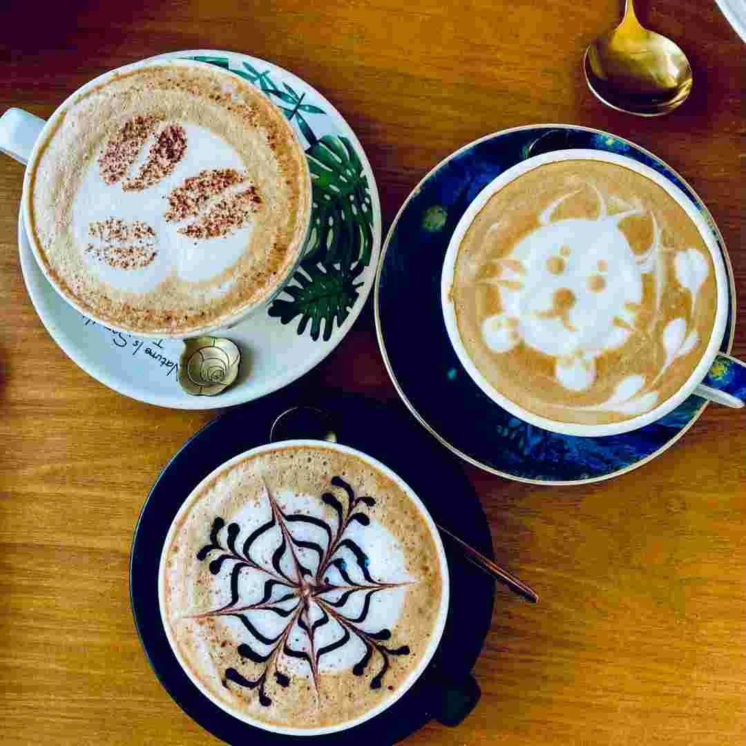 three mugs with latte art: a cat, an abstract design, and a coffee bean design
