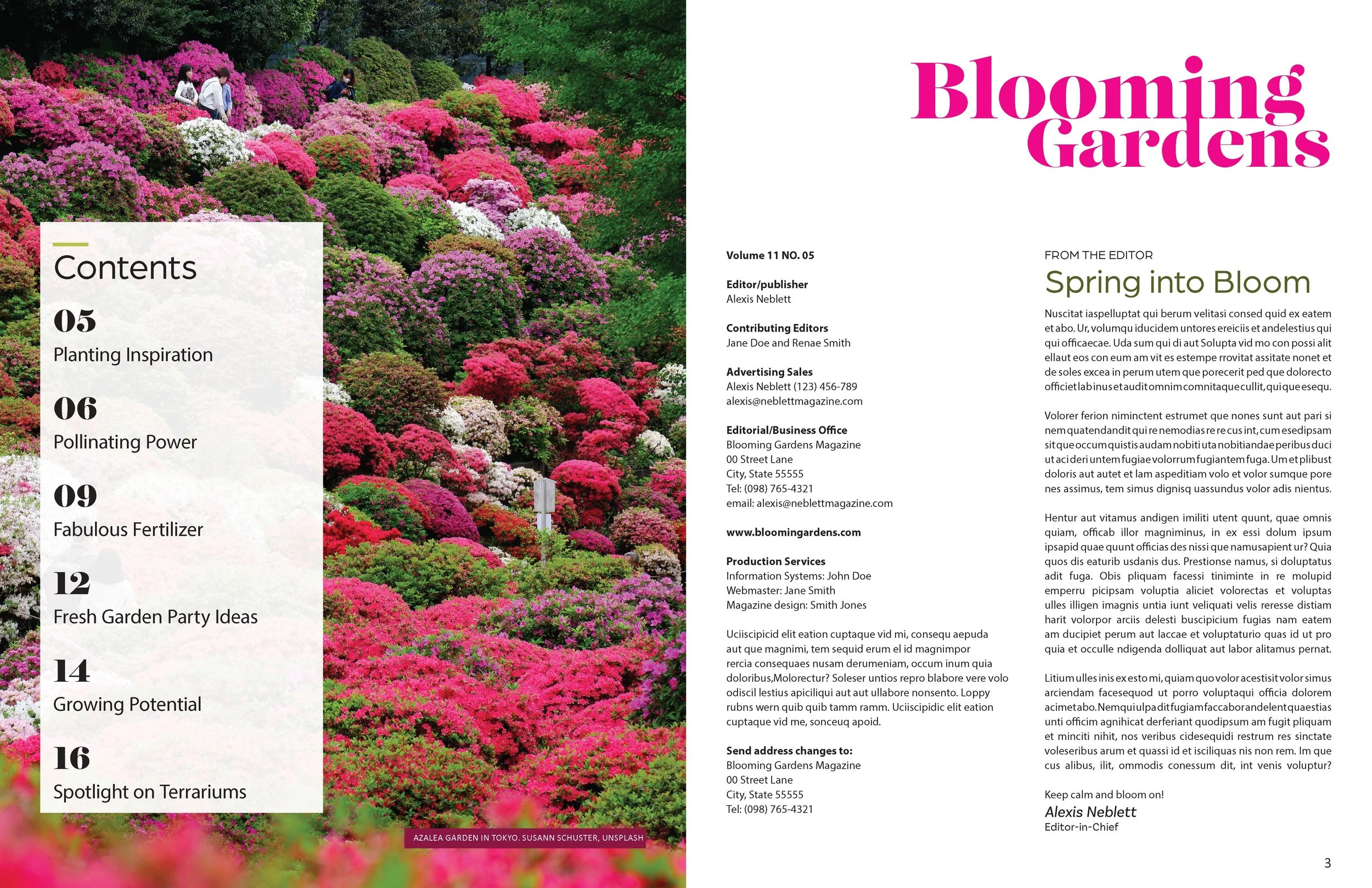 magazine layout_Page_2.jpg