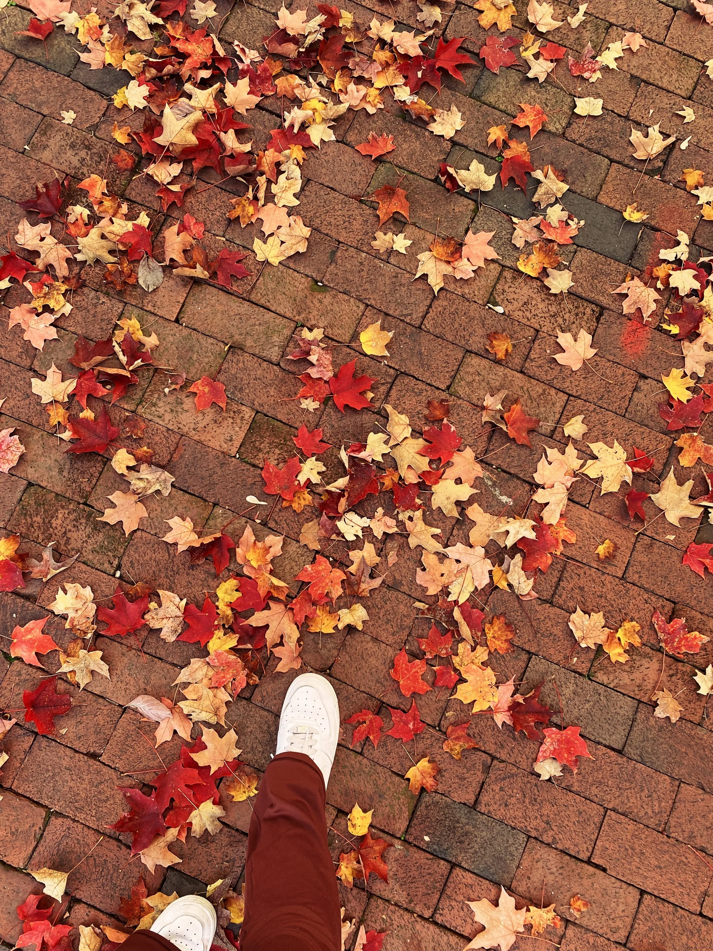 Person walking on brick path covered in leaves.