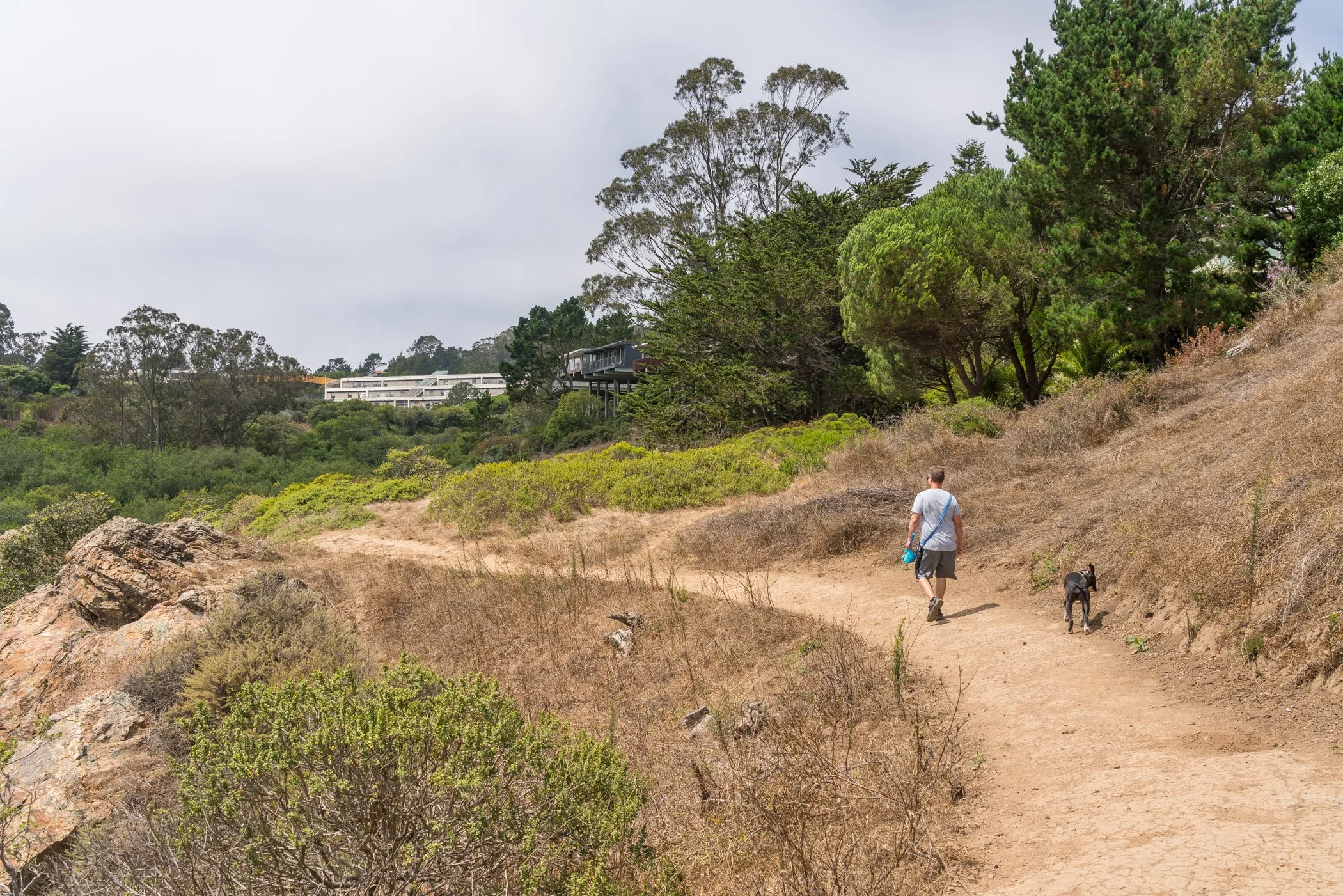A man walking on a dirt trail with a dog in a hilly, coastal area with trees and bushes, and houses visible in the background.