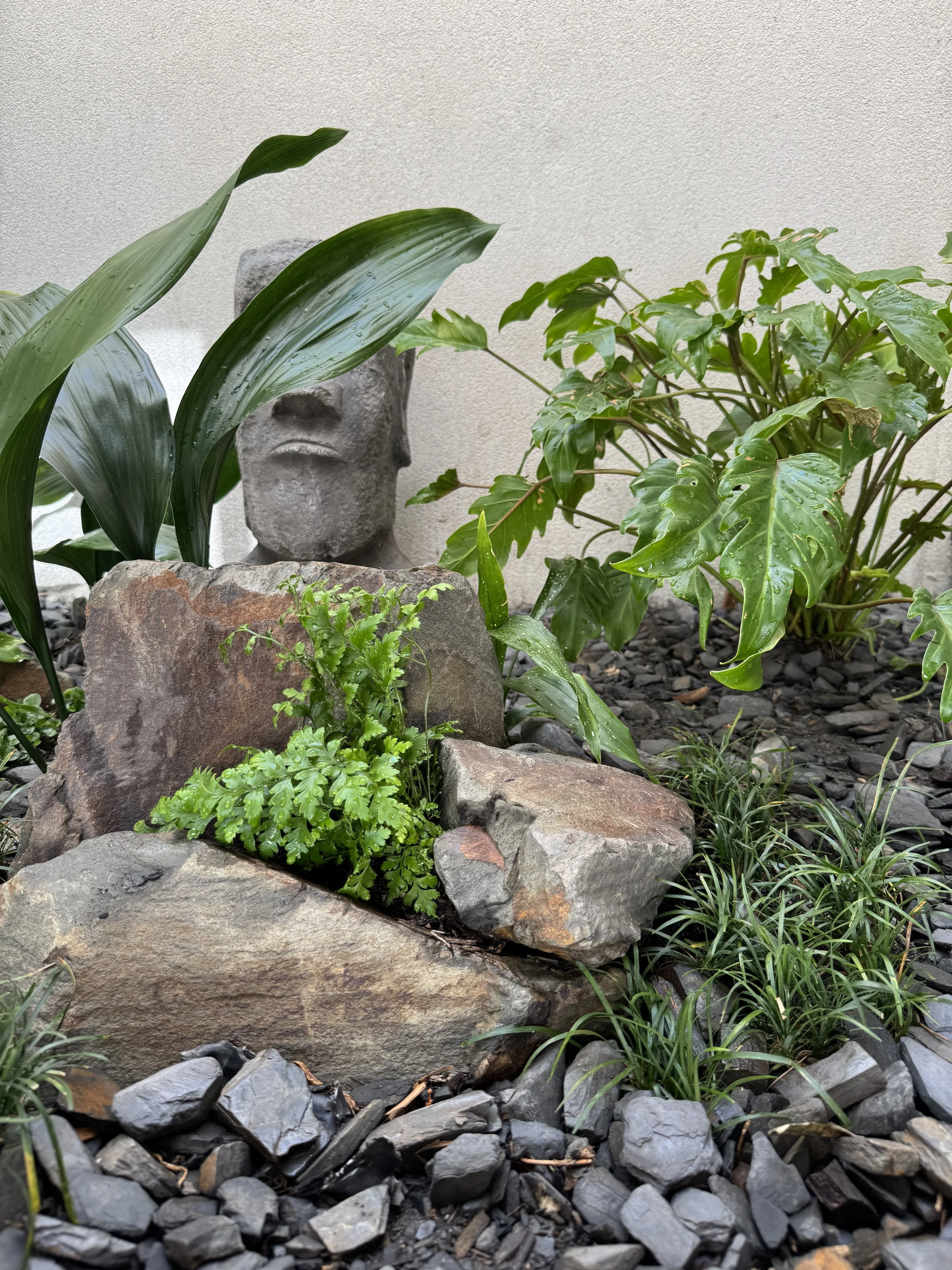 Indoor garden with large rocks, various green plants, and a stone sculpture of a face in the background.