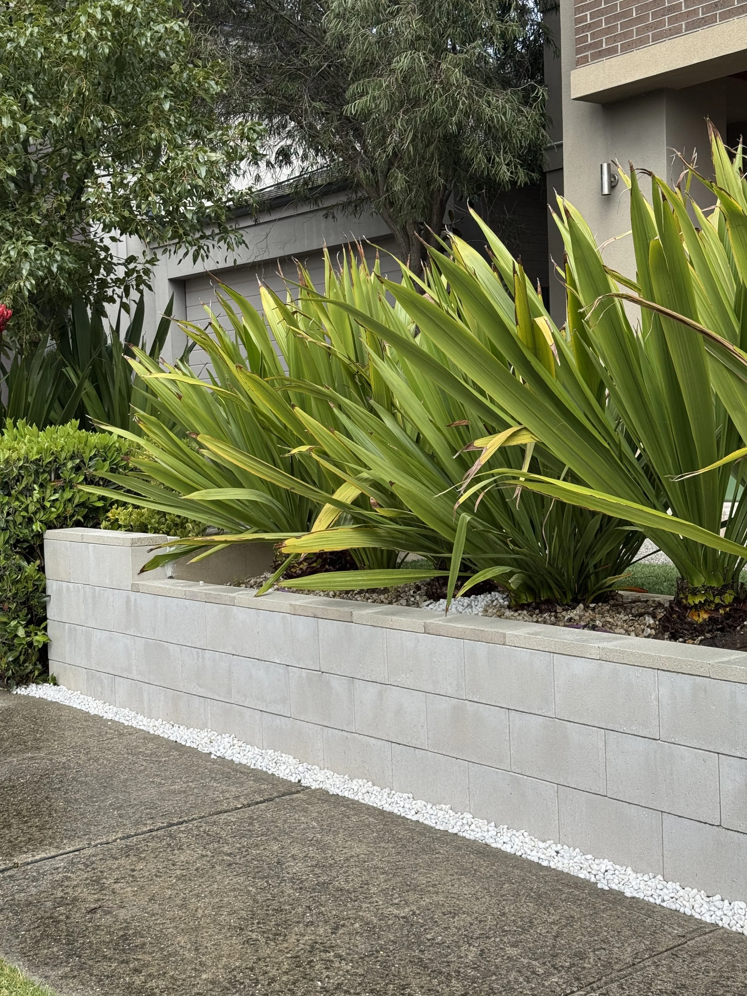 A sidewalk in front of a modern residential building, with a large white concrete block planter filled with tall green leafy plants and small decorative white stones lining the base.