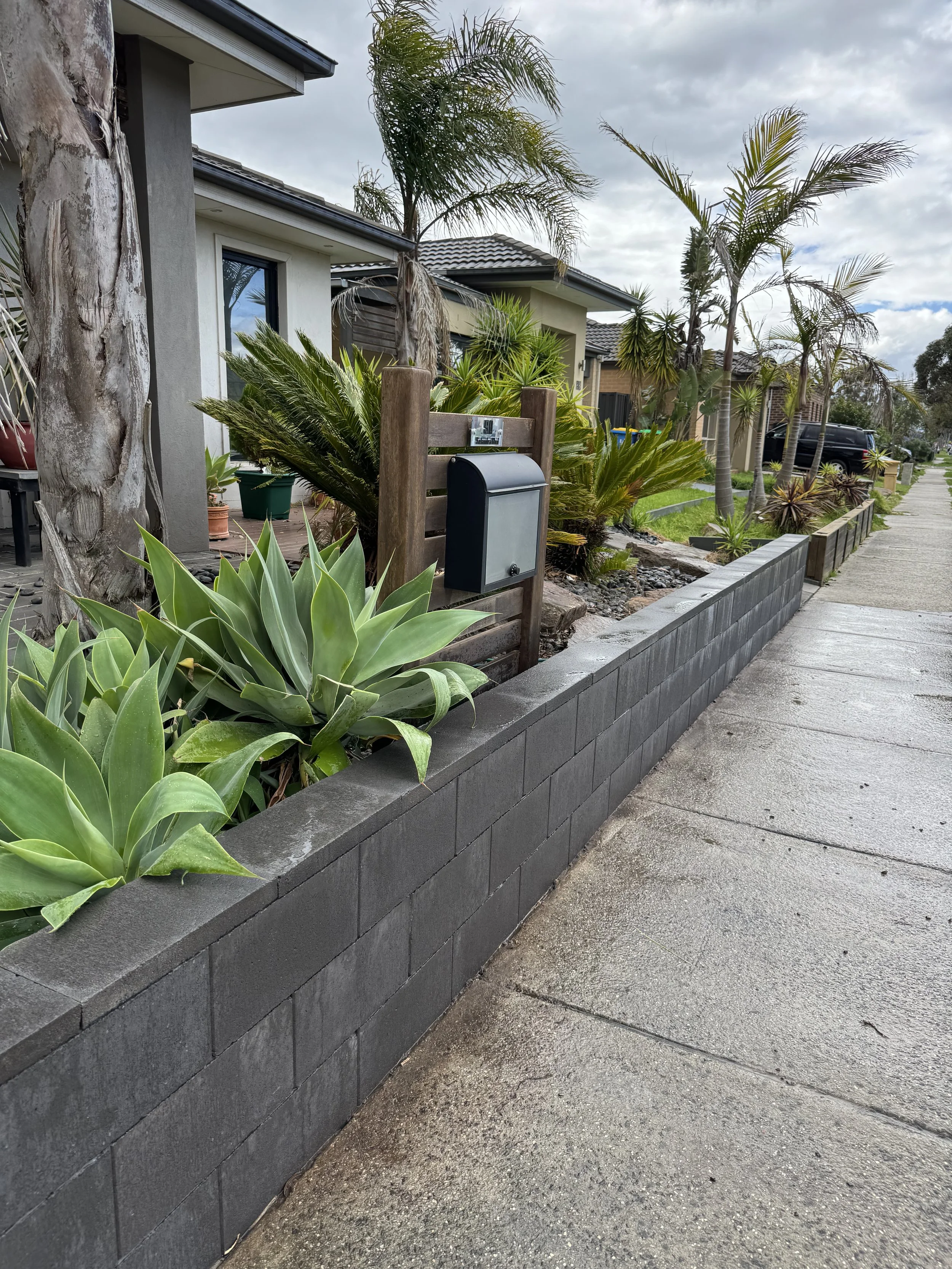 View of a residential front yard with drought-tolerant plants such as agave and palm trees, bordered by a low gray block wall, next to a concrete sidewalk. A house with a modern exterior is visible in the background, along with an overcast sky.
