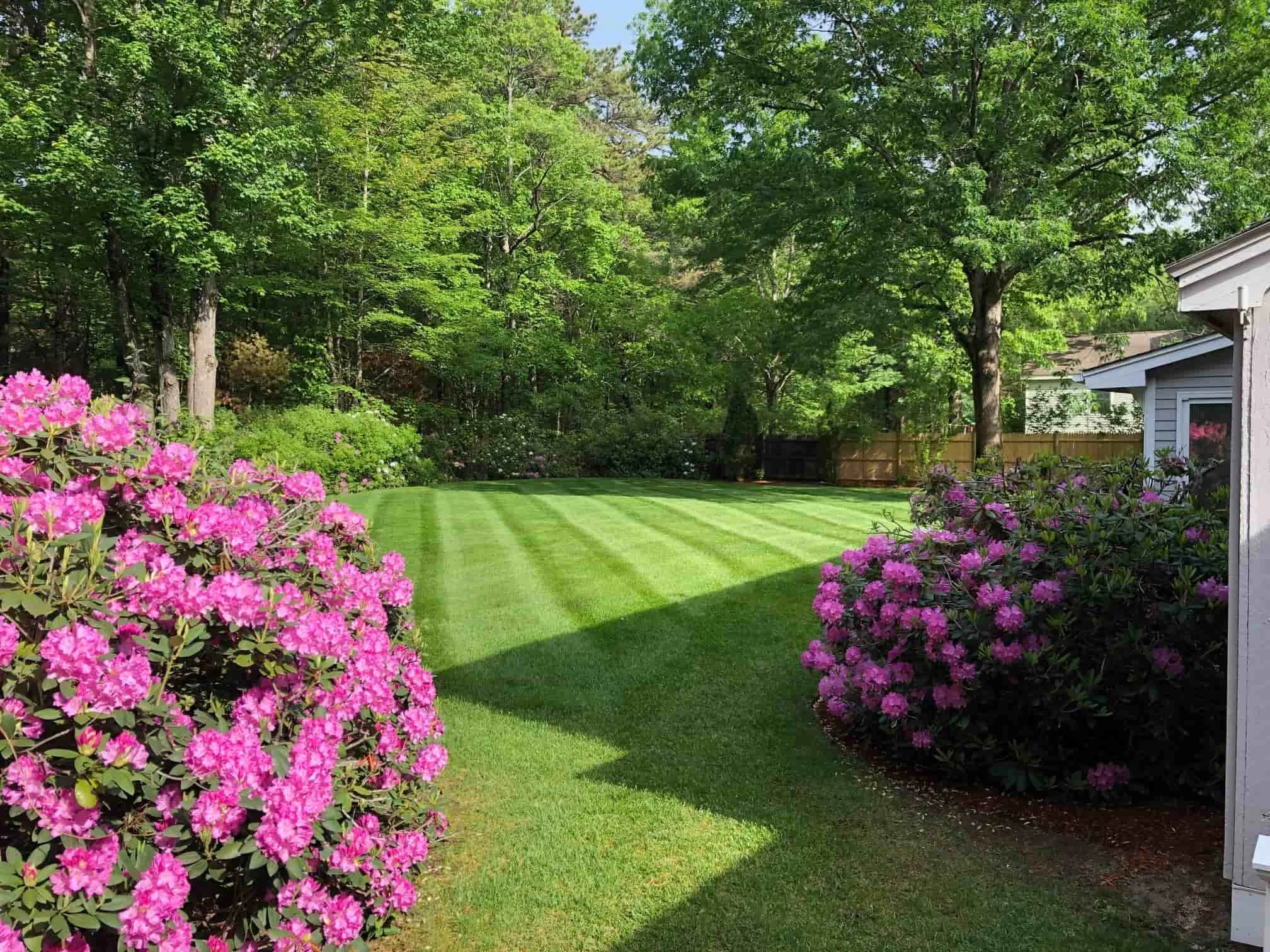 Milford, NH Spring Cleanup Company