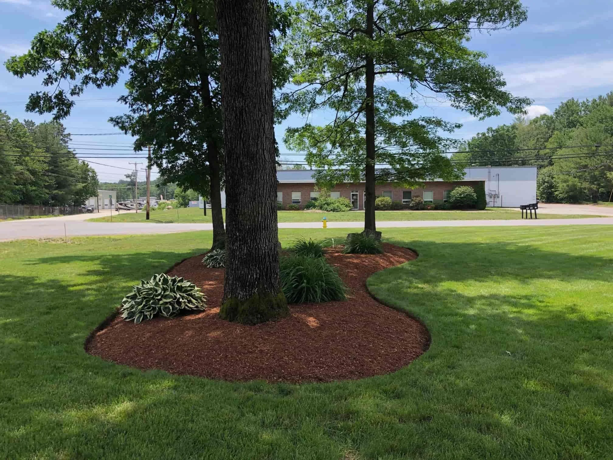 NH Landscape Maintenance Company