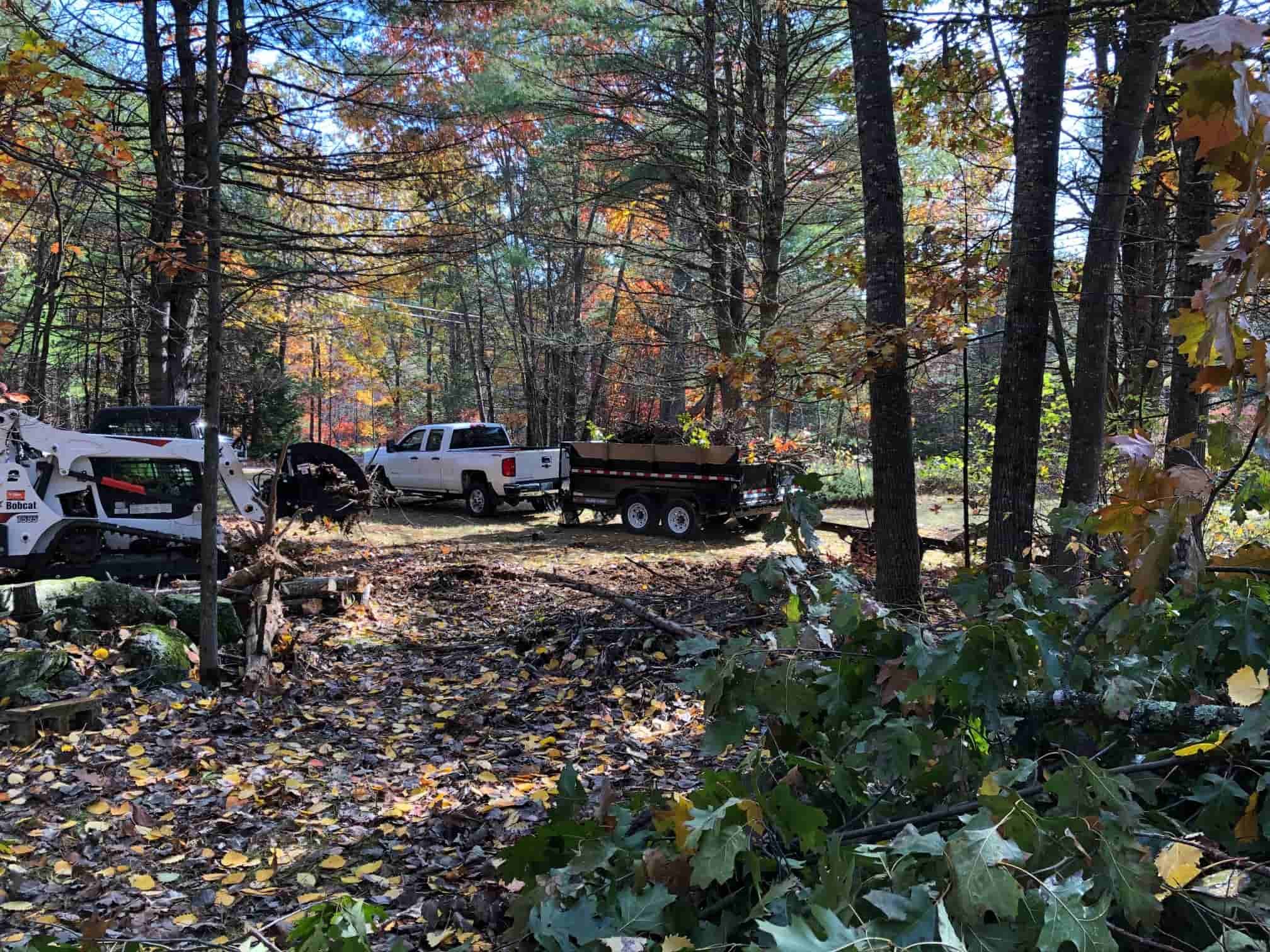 Landscape Rip Out in Hollis, NH