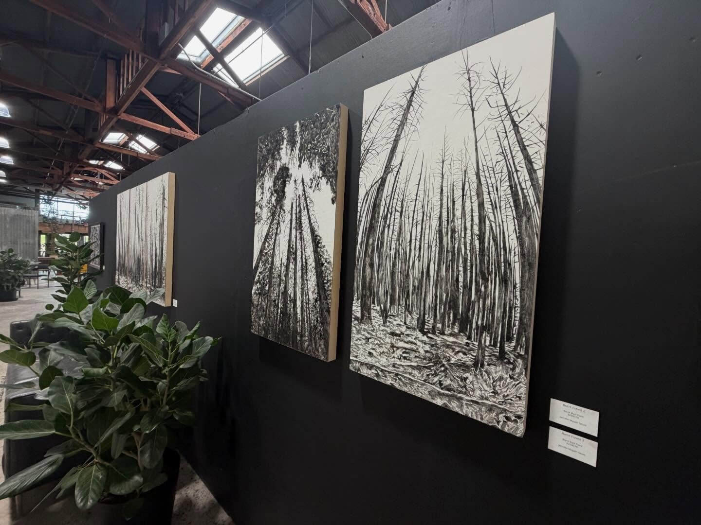 Forest Series on display in 1st and G suite 110 @thewtrshd .
Repeated cycles, patterns and time.
@jennifer_mygatt_tatum 
@warehousedistrictpetaluma 
@visiteldorado