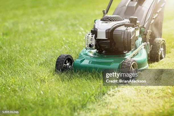 A green lawn mower on a grassy lawn.
