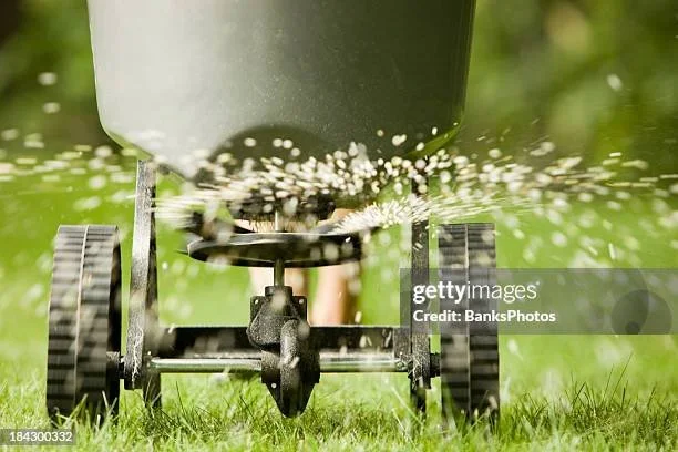 Lawn mower cutting grass, with grass flying up as it moves.