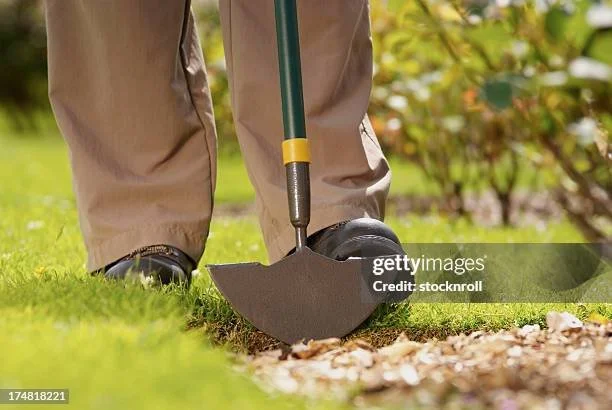 Person using a shovel to dig in the soil in a garden.