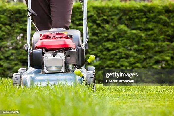 Close-up of a person mowing the grass with a red and gray gasoline-powered lawn mower, green hedge in the background.