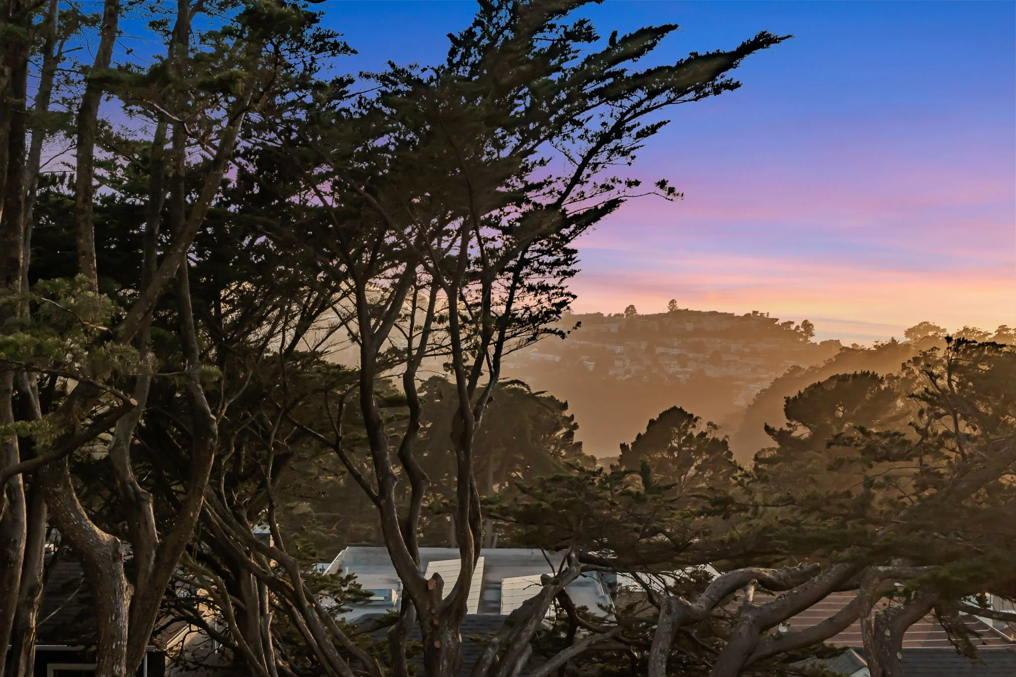 Scenic twilight view from a San Francisco residence, featuring silhouetted cypress trees against a vibrant purple and orange sunset over the rolling hills and Pacific Ocean.