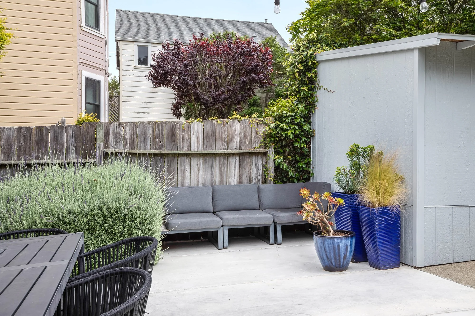 Outdoor lounge area in rear garden of 4545 18th Street San Francisco TIC with gray sectional sofa, cobalt blue ceramic planters, lavender border, ornamental grasses, purple-leaf tree, and ivy-covered fence