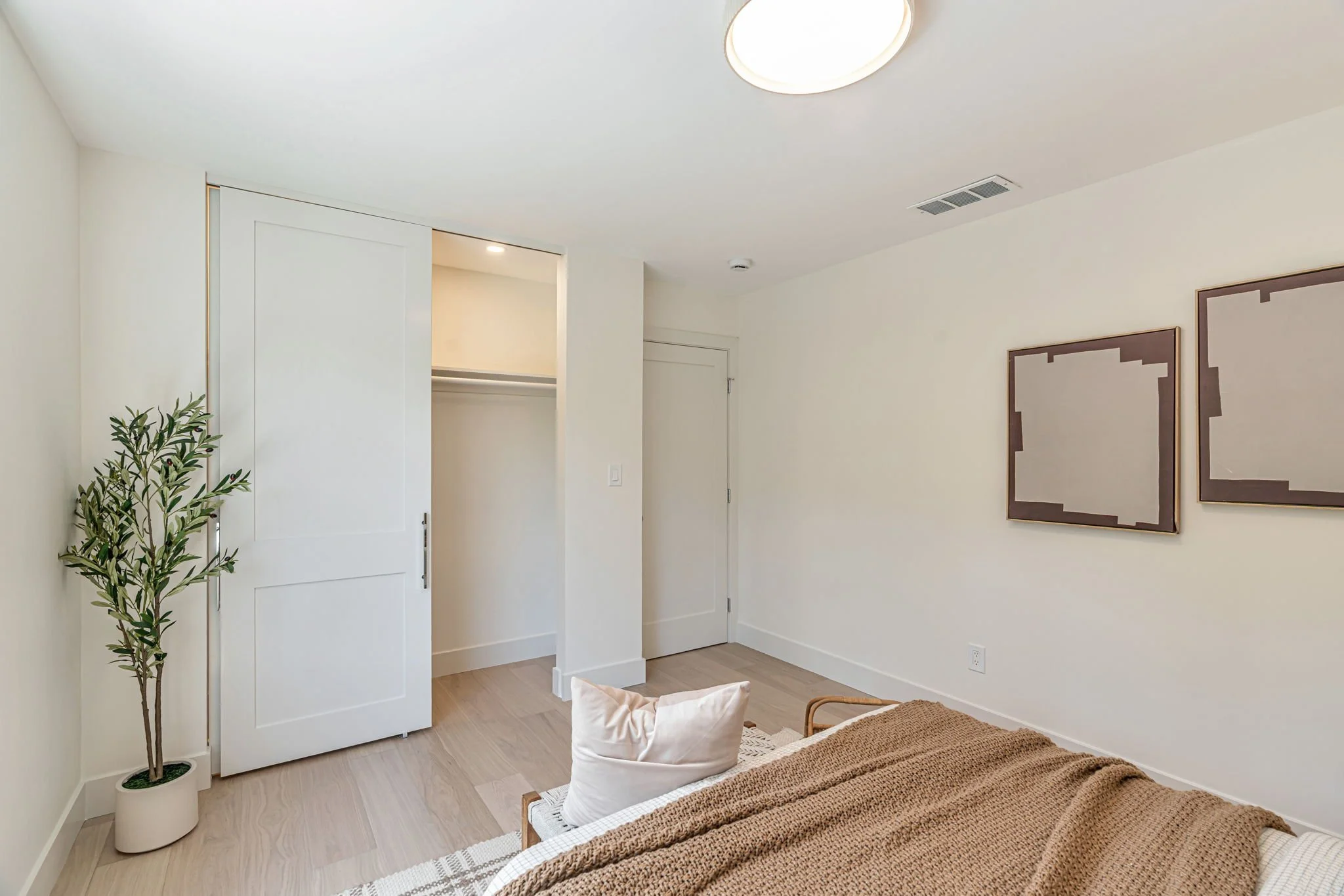 A bright guest bedroom with minimalist decor. It shows white sliding closet doors, a potted olive tree in the corner, and two pieces of abstract framed art on the wall above the bed.
