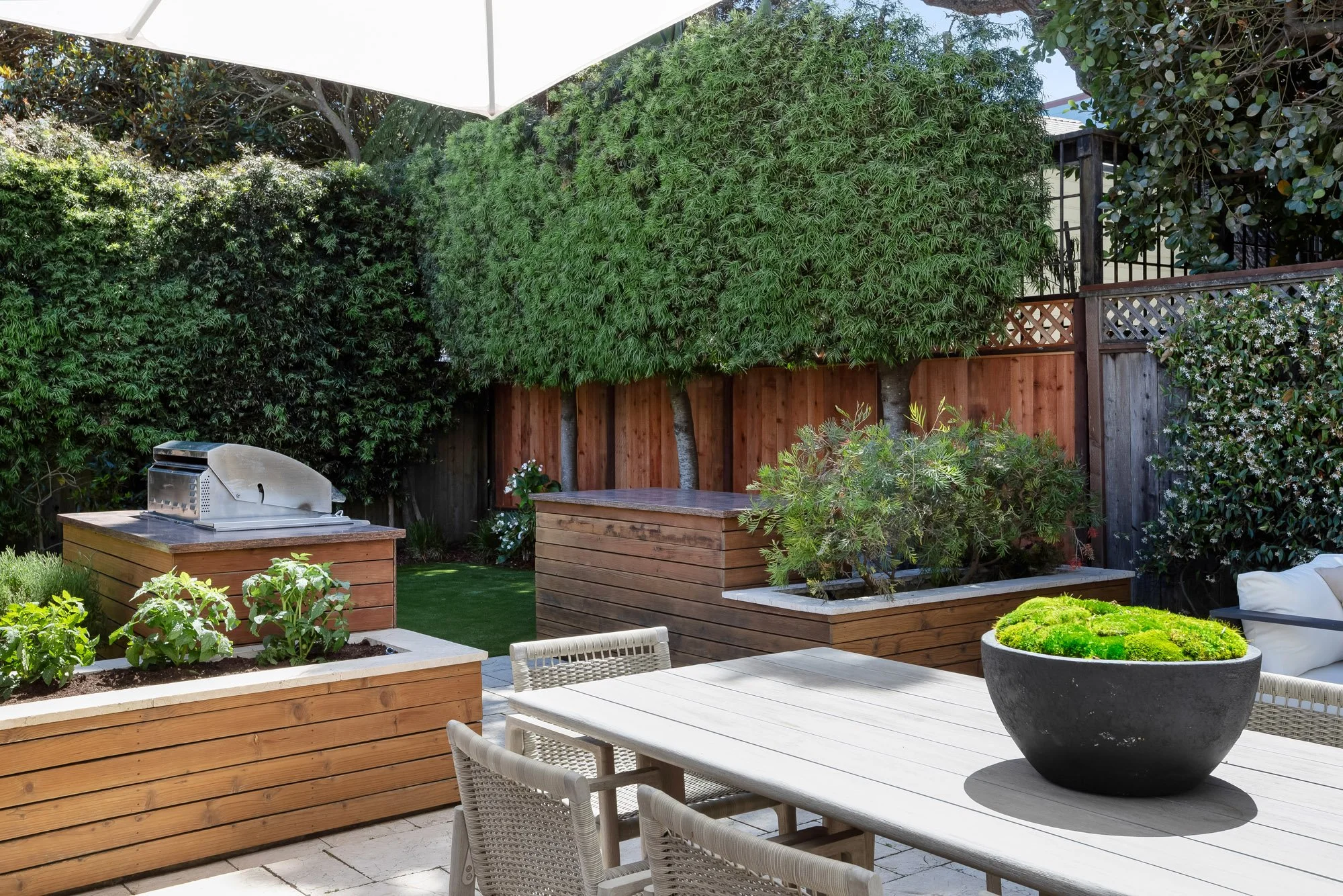 Backyard at 771 Elizabeth Street featuring redwood raised planter beds with vegetables, a built-in stainless grill, mature privacy hedging, and a strip of level artificial turf.