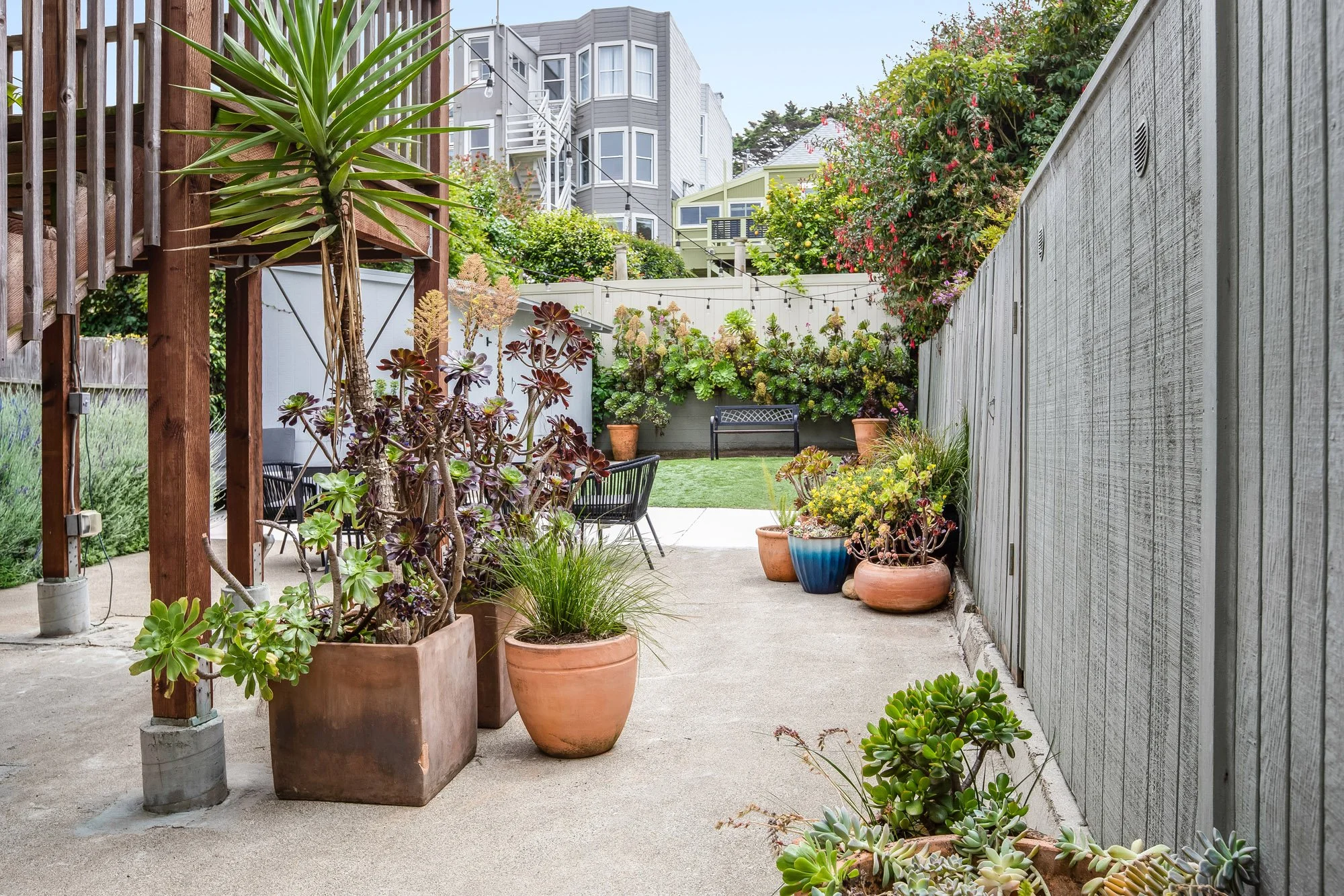Lush drought-tolerant rear garden at 4545 18th Street San Francisco TIC with terracotta pots, mature succulents, aeoniums, yucca, string lights, redwood pergola, and flowering succulent wall in background