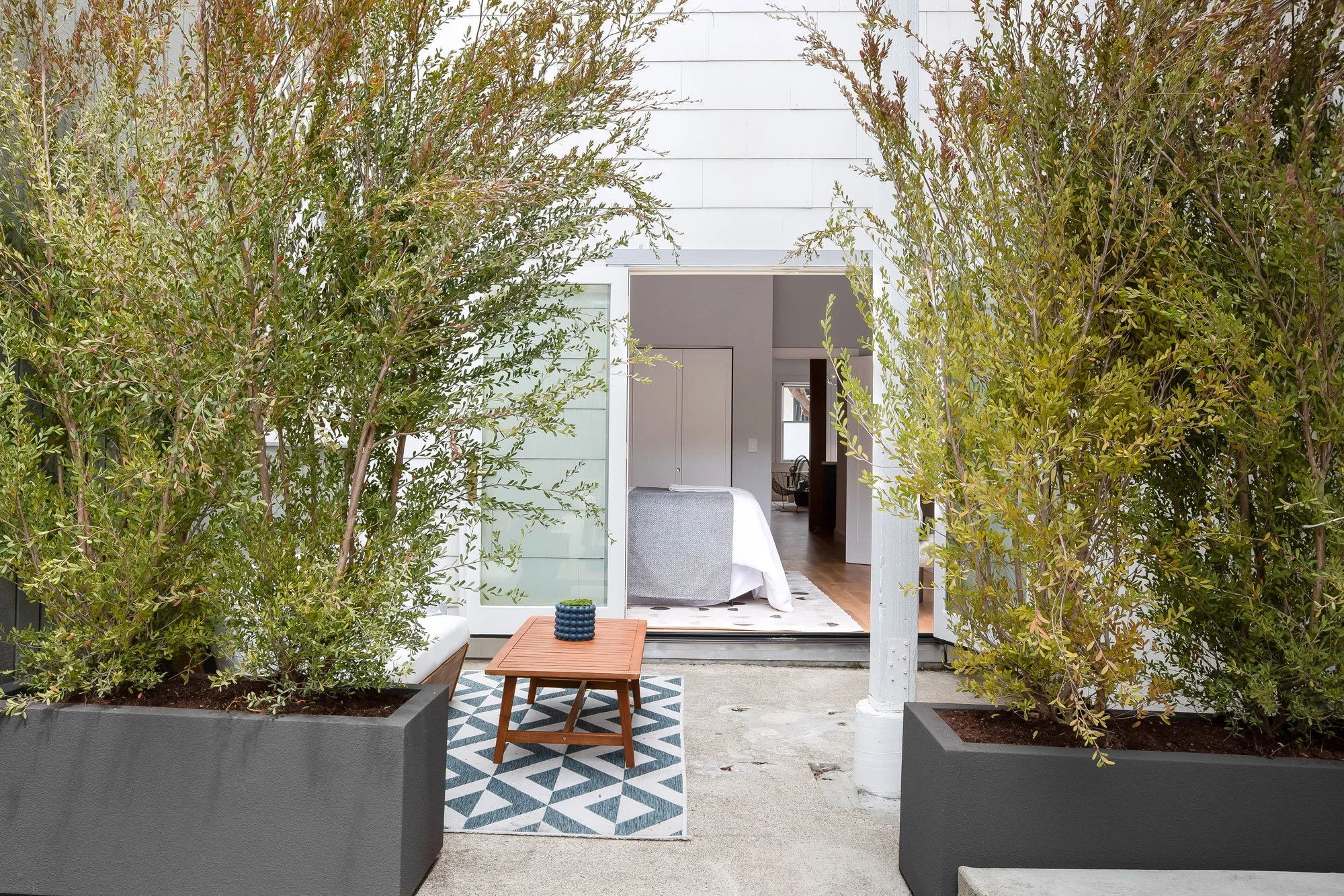 View from landscaped garden looking back through open glass doors into bedroom of Castro San Francisco luxury TIC, flanked by tall privacy trees in charcoal rectangular planters on concrete patio