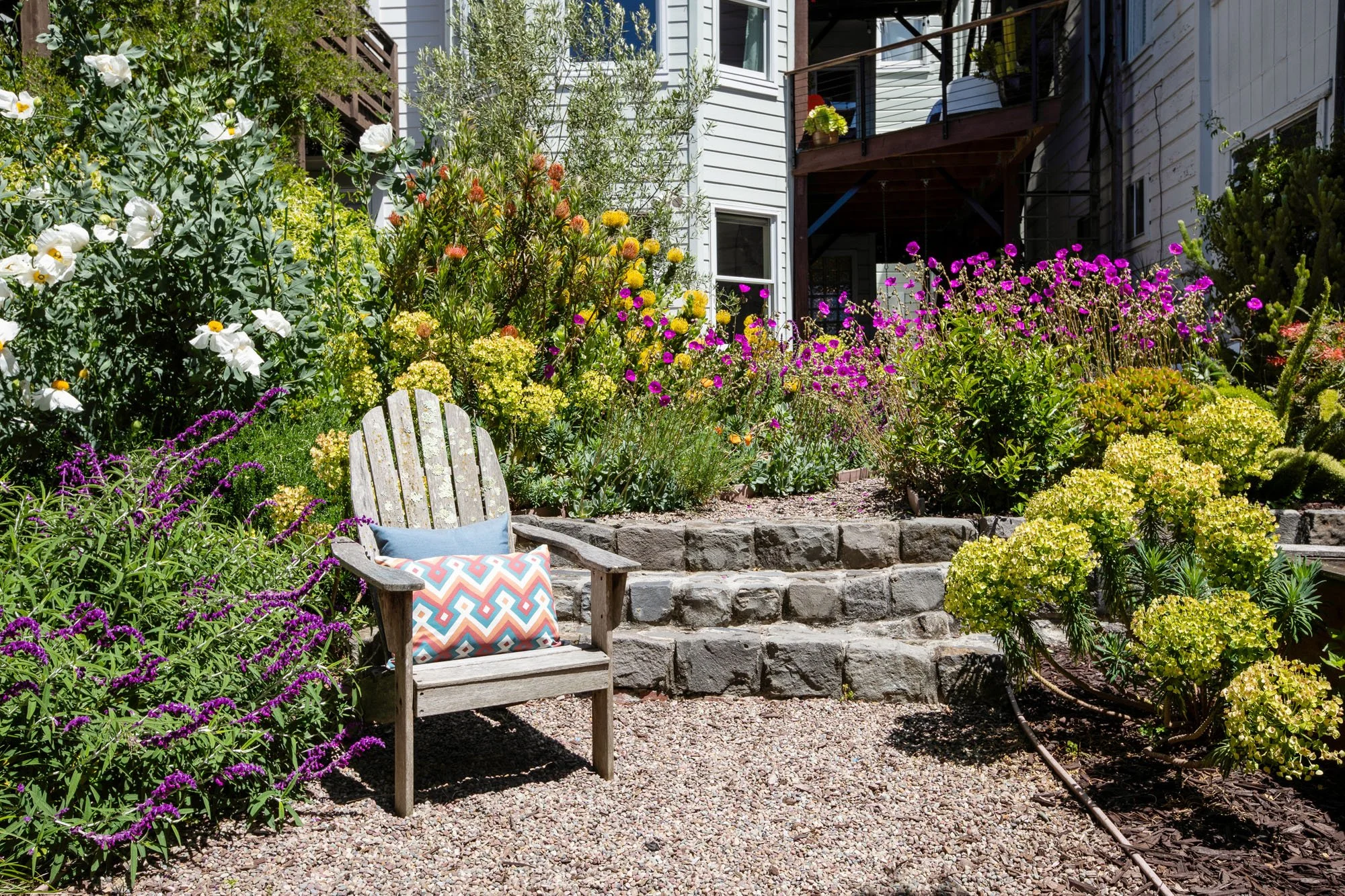 Weathered wood Adirondack chair with decorative pillows on a gravel path, framed by stone steps and a colorful garden with purple Salvia and yellow Protea.