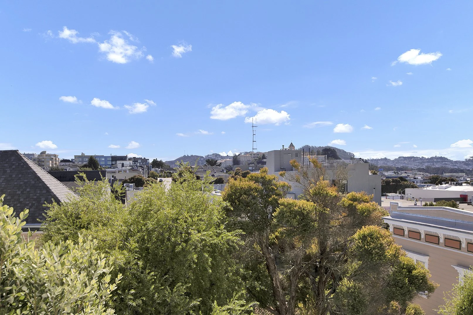 Panoramic southern view over Presidio Heights treetops toward Sutro Tower and San Francisco hills from Victorian flat on Sacramento Street