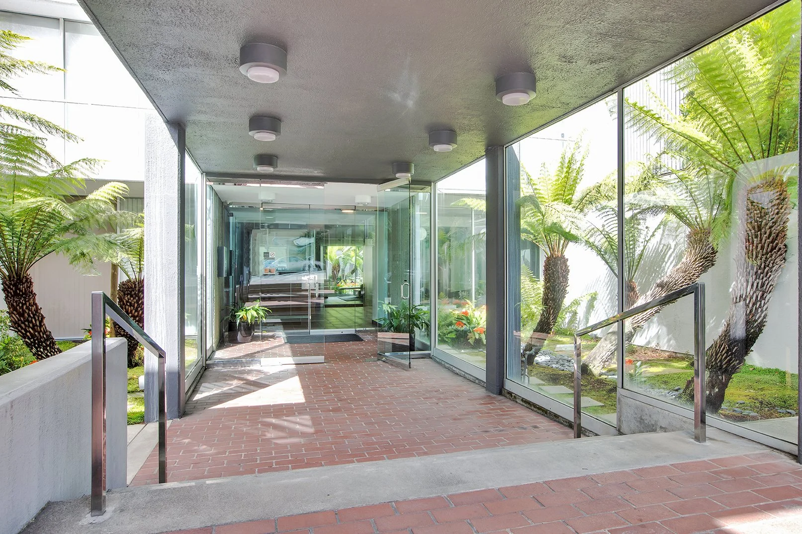 A view down the glass-enclosed, mid-century modern entrance walkway of 66 Cleary Court. The red brick paver path, accented with chrome handrails and steps, is flanked by floor-to-ceiling glass walls and large, mature tree ferns. It leads towards a se