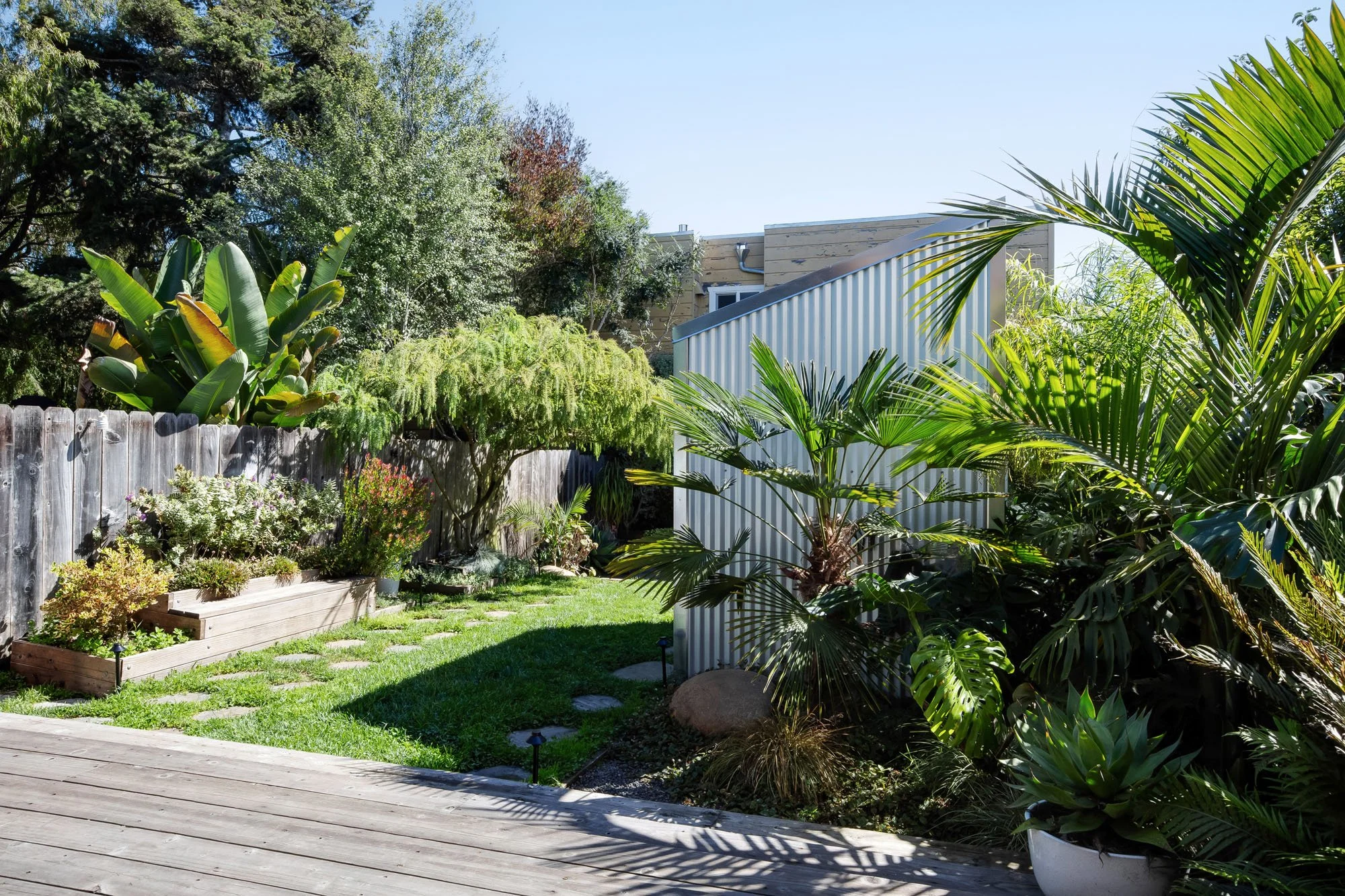 View from the wooden deck looking out over a stone paver path and a variety of tropical plants, including palm trees and monsteras, surrounding a corrugated metal garden shed.