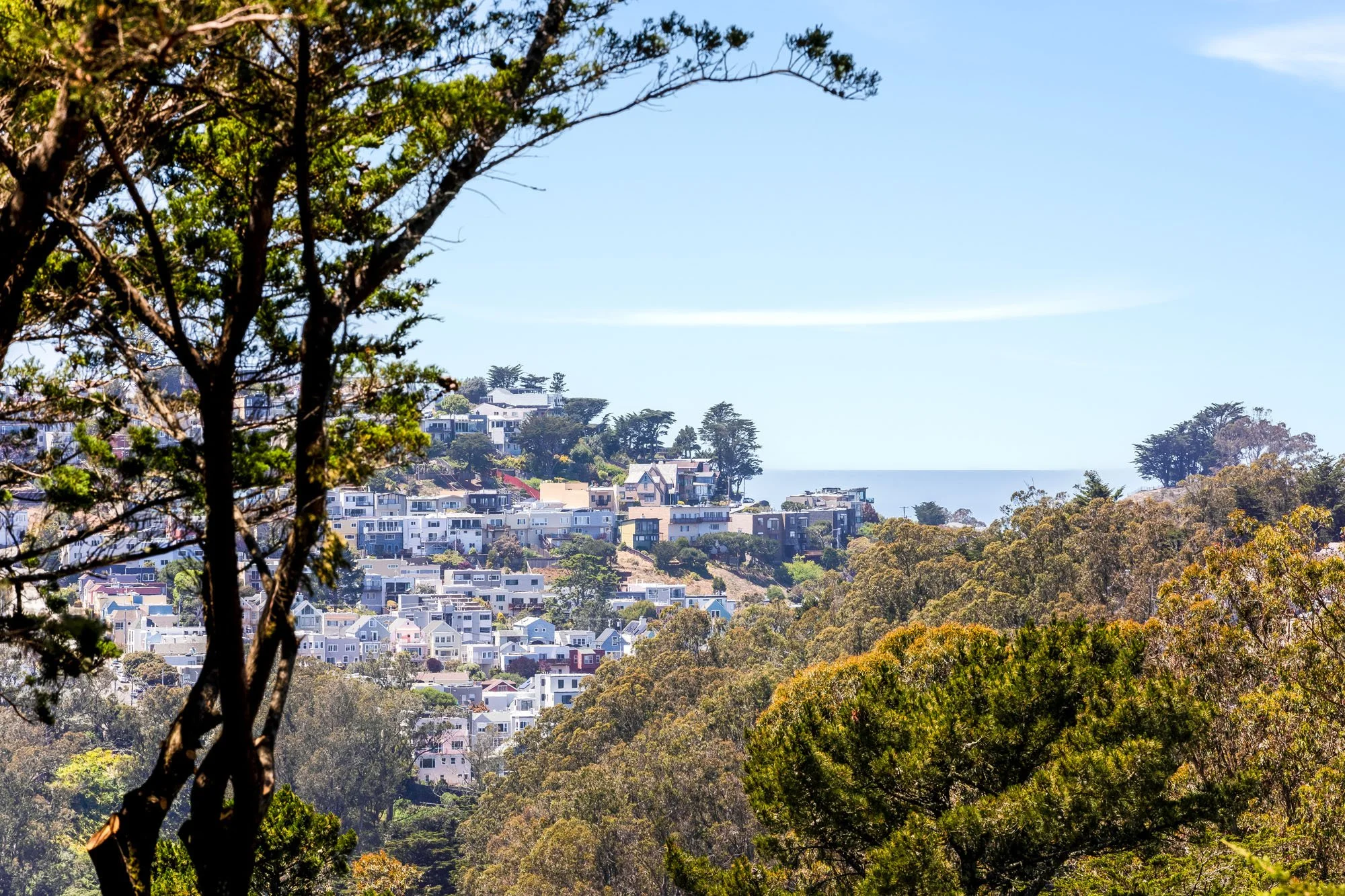 A beautiful landscape shot showing a densely populated hillside with colorful houses tucked between lush green trees, with a clear view of the water under a bright sky.