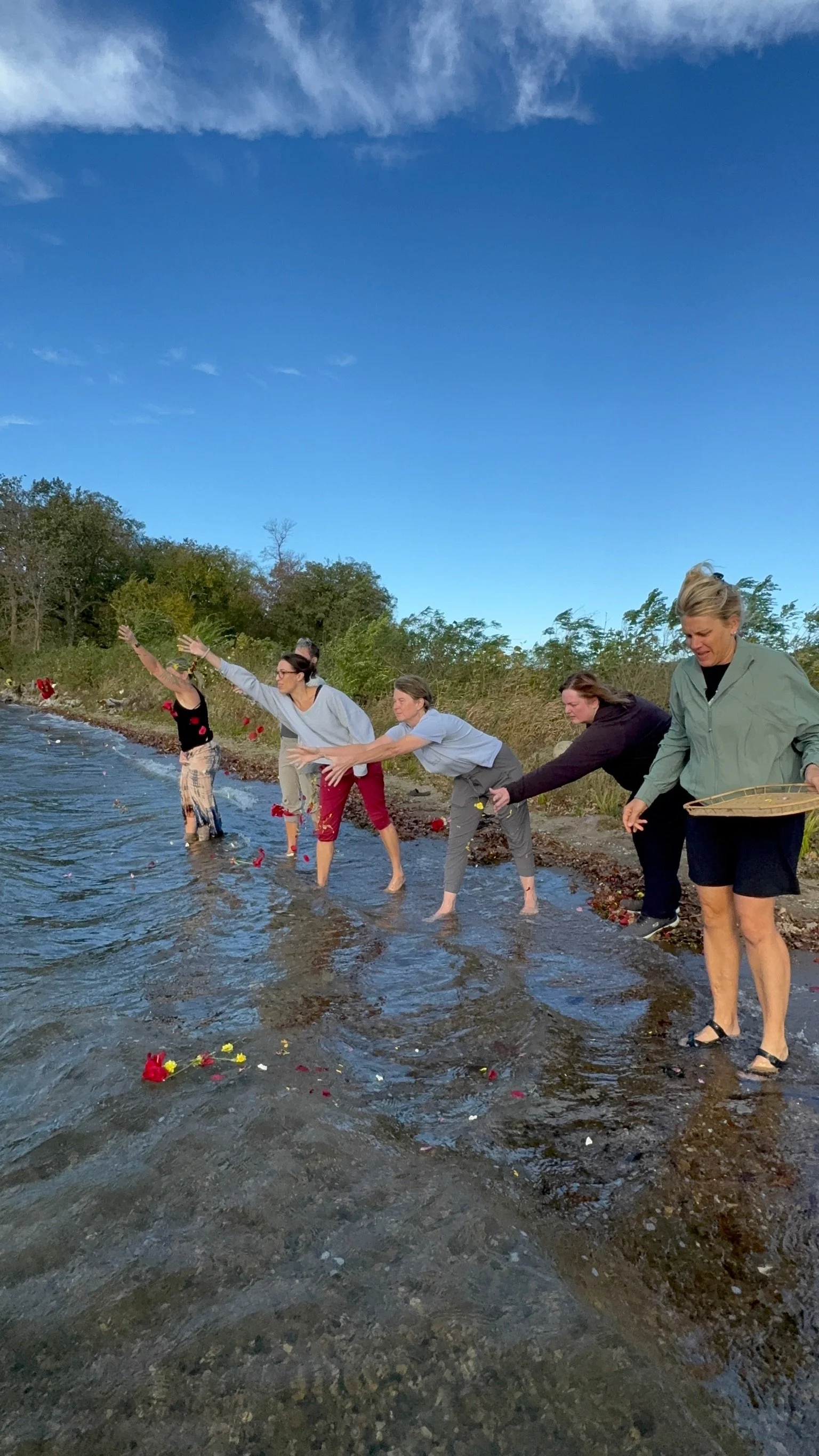 Rising Phoenix Wellness, self-care, spinal energetics practitioner, subliminal healing, holistic healing,