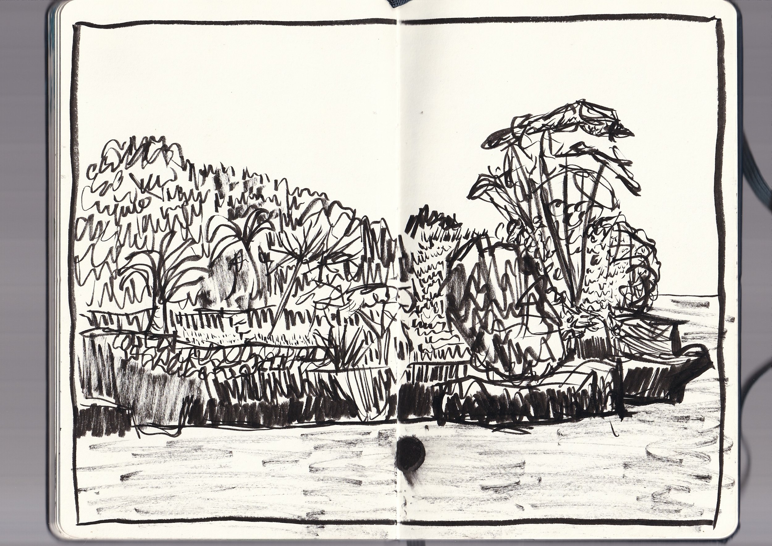 A sketch of a landscape scene in black ink, featuring dense trees on the left, a large tree with a canopy on the right, and a horizontal line indicating ground or water at the bottom.
