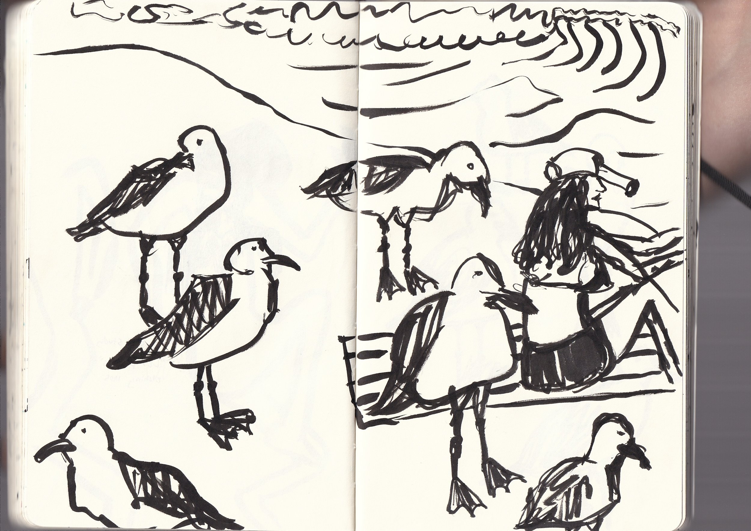 A sketch of several ducks, some standing and some sitting, with some clouds or water ripples above them, drawn with black ink on paper.