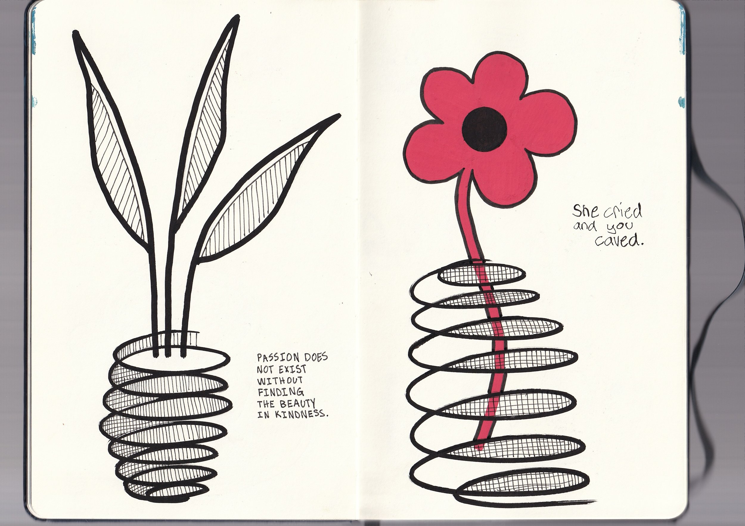 A sketch of two flowers, one with black and white lines and the other in pink with black outline. The pink flower has a black center and a red stem. The flowers are drawn on a white background with text on the right side that says, 'She cried and you
