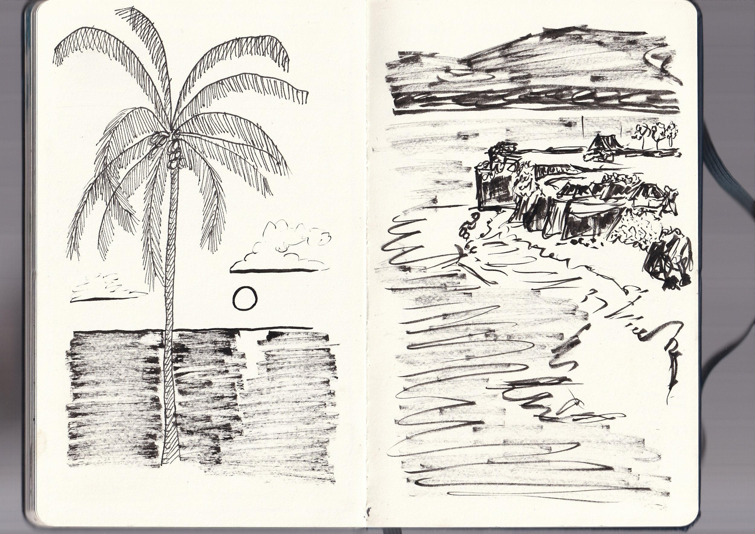 Sketch of a coconut tree on the left page and a landscape scene with mountains, trees, and a building on the right page.