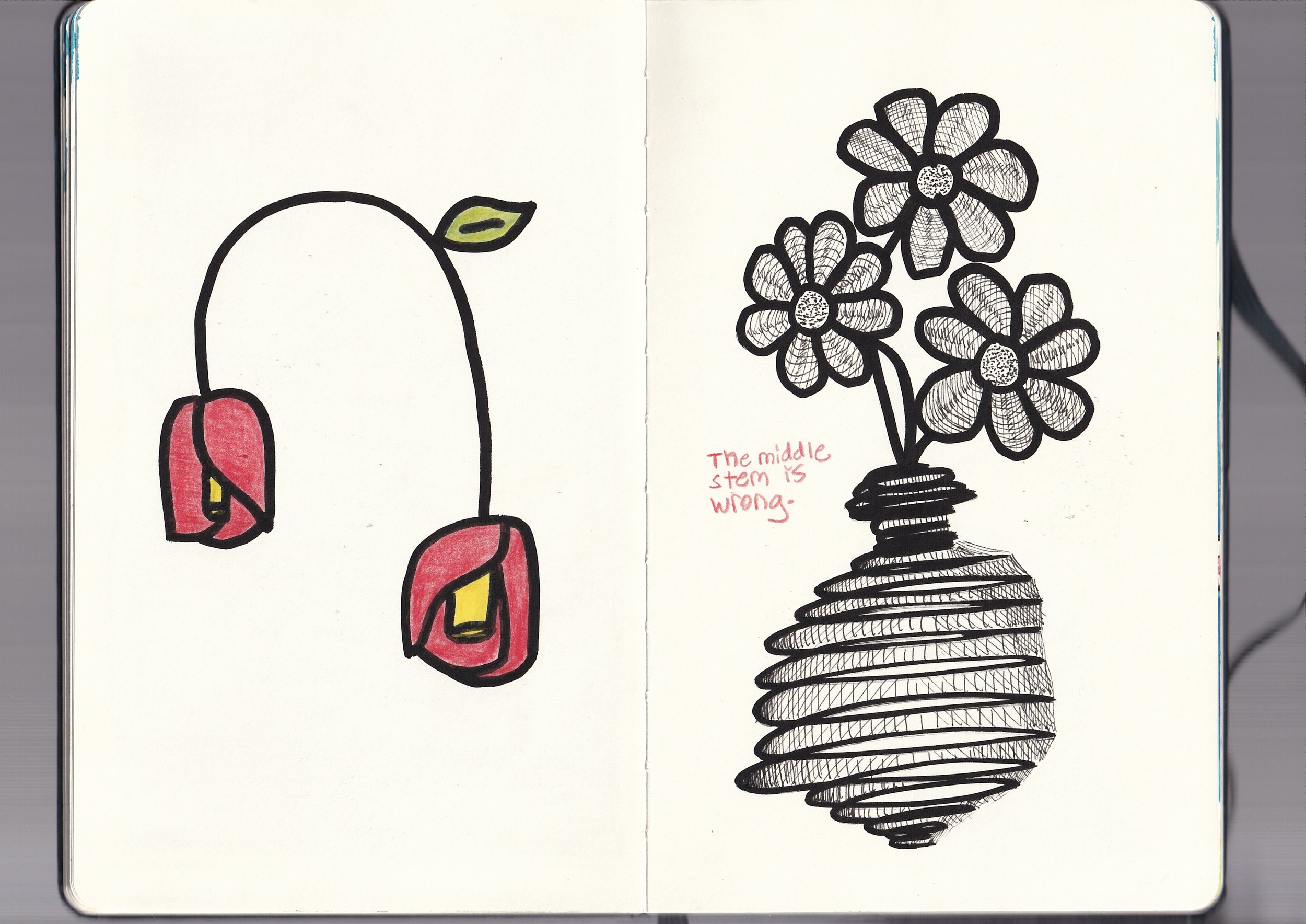 Drawing of a cherry on the left side and a vase of flowers on the right side, with the note 'The middle stem is wrong' written in red.