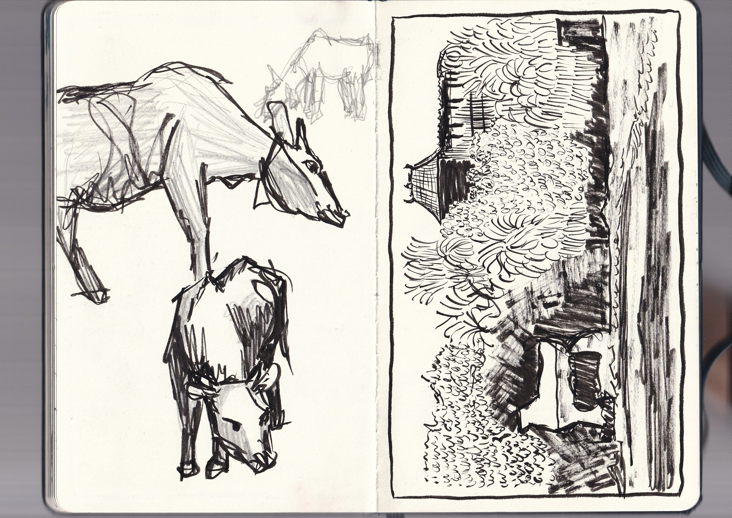 A black and white ink sketch of a dog with a person, and a detailed landscape scene with trees and a small structure.